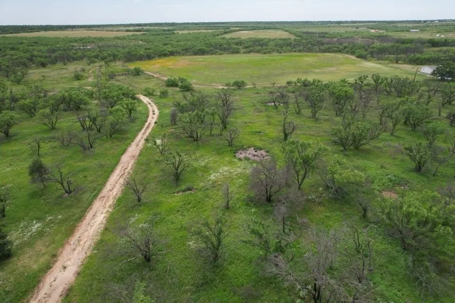 Unimproved Land For Sale in Jones County , TBD FM 600, Anson, Texas 79501, 0, 0, Garage spaces, 0 Sqft, built in 0, Price $546,000, mls#21119343, Real Estate Agent in Anson, Homes For Sale in Jones county, Homes For Sale in Anson, Realtor in Anson Texas, Real Estate Brokerage Independent Realty Texas, Luminita Cordes Realtor
