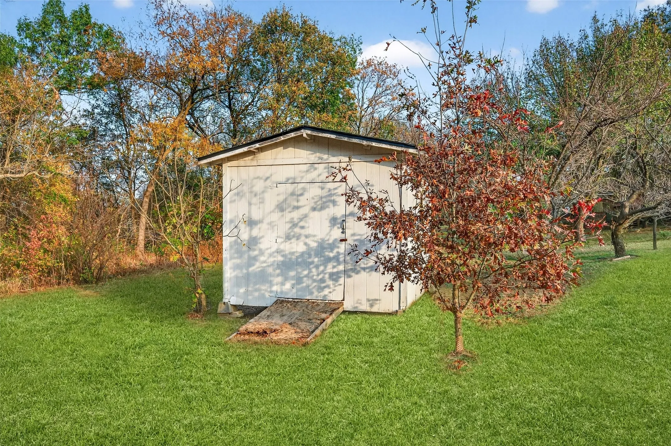 View of shed