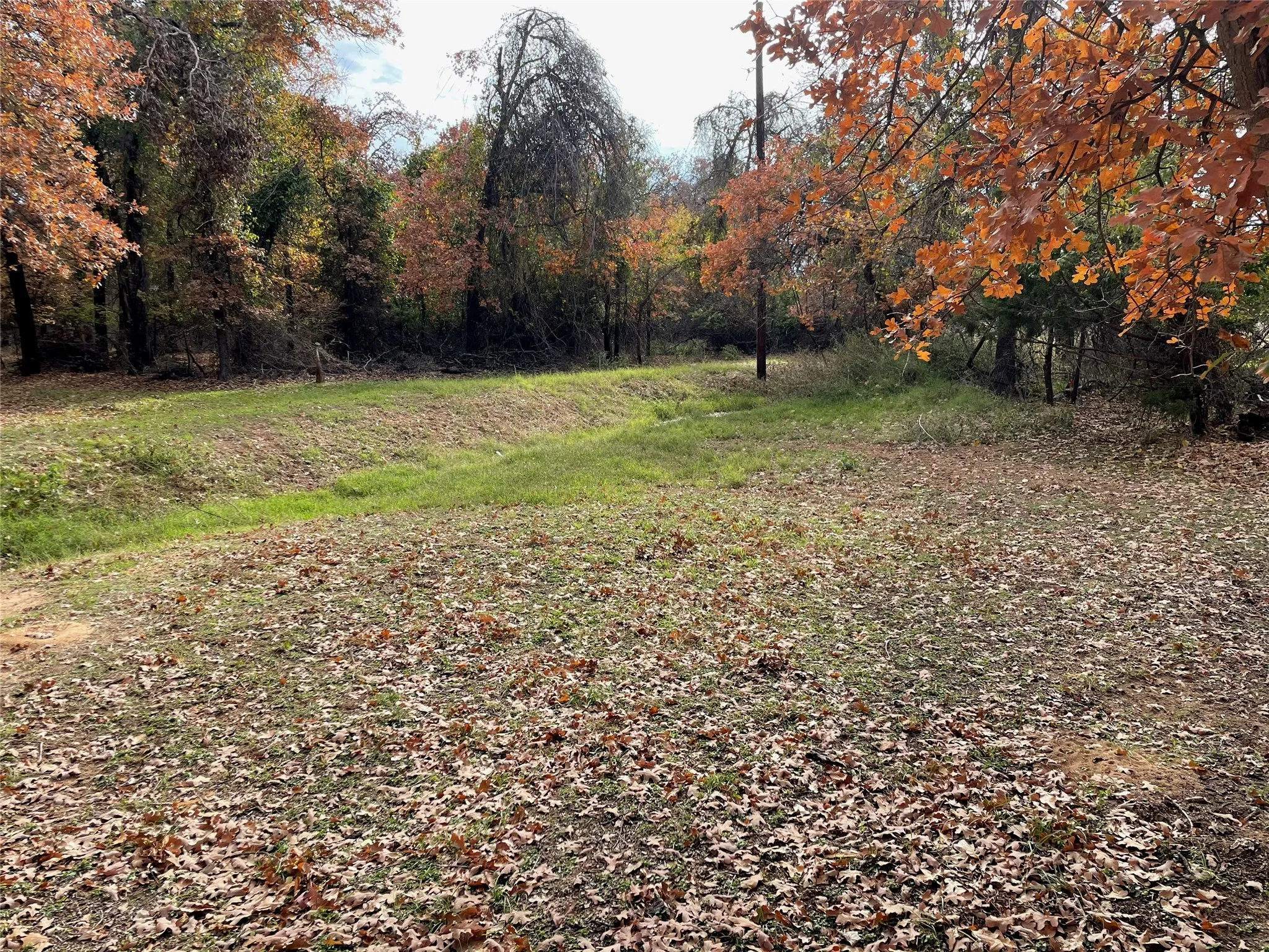 Land Behind Property