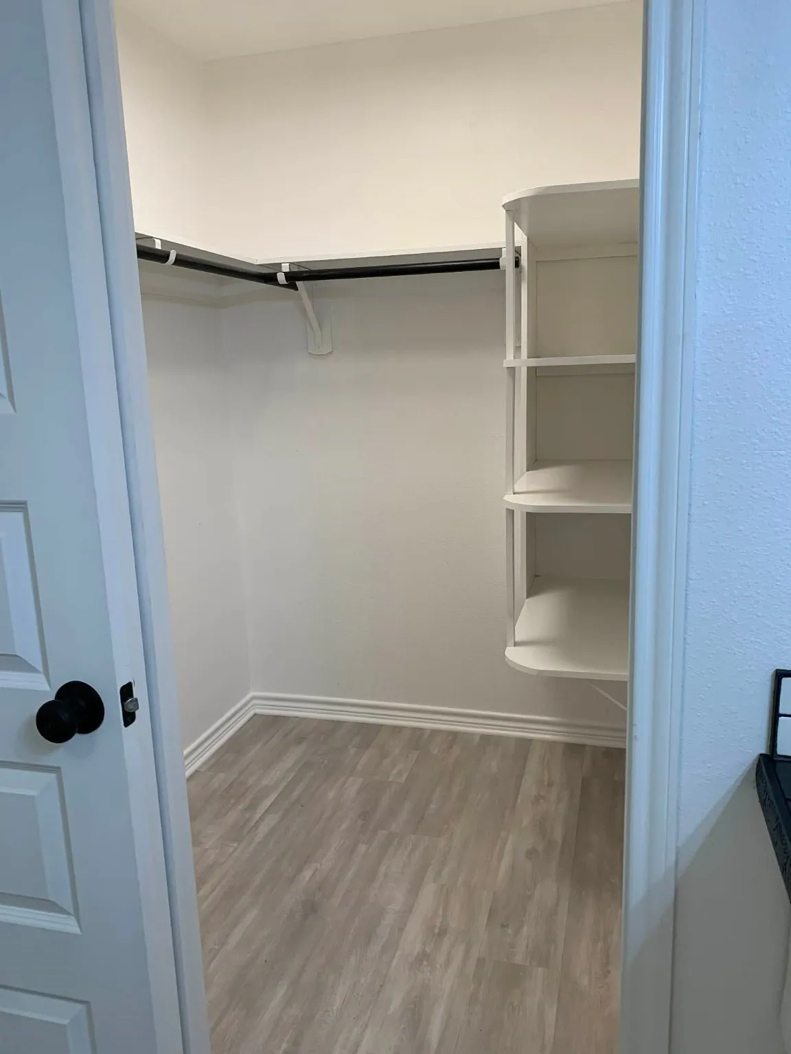 Walk in closet featuring light wood finished floors