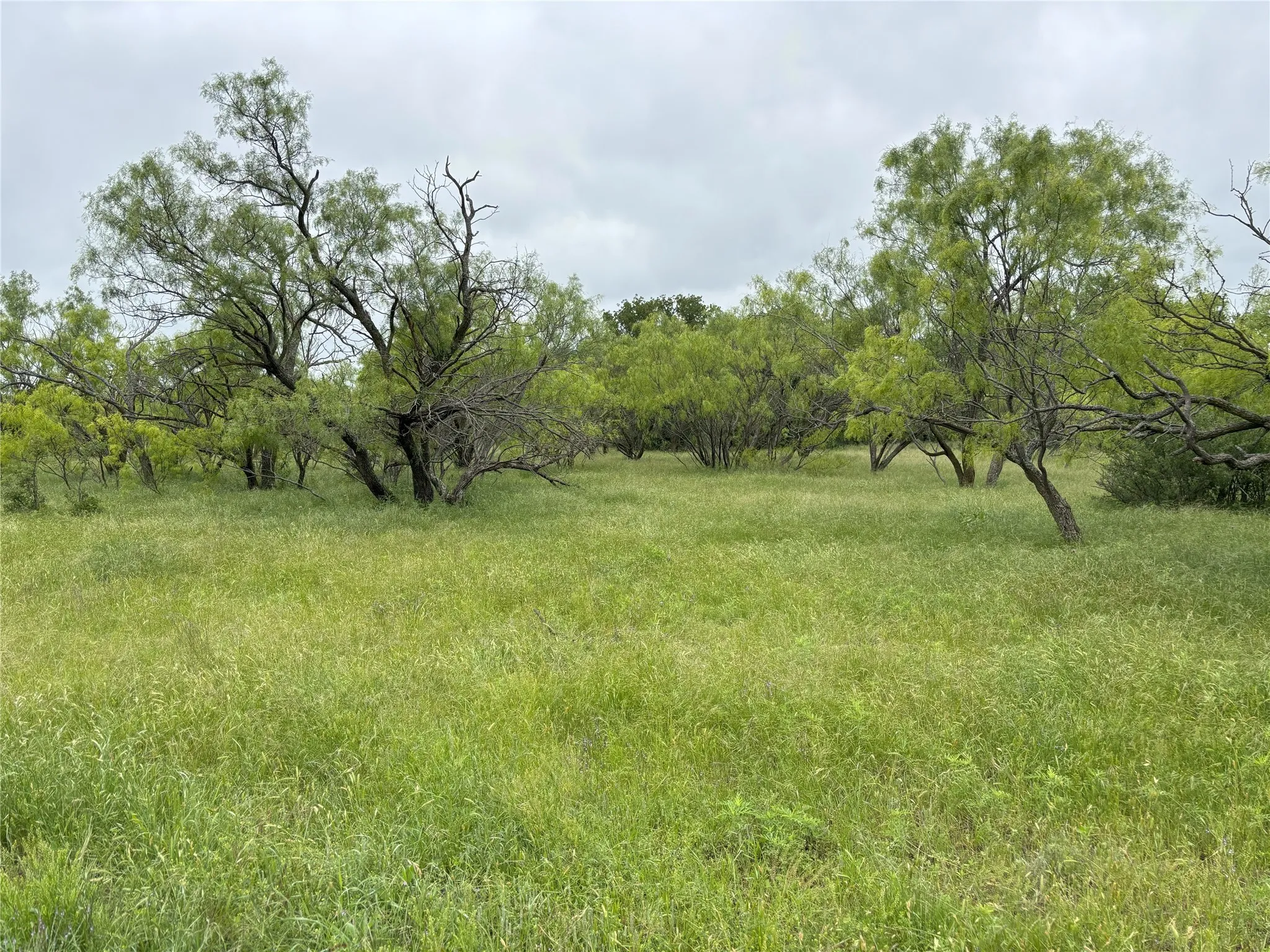 View of yard featuring a view of rural / pastoral area