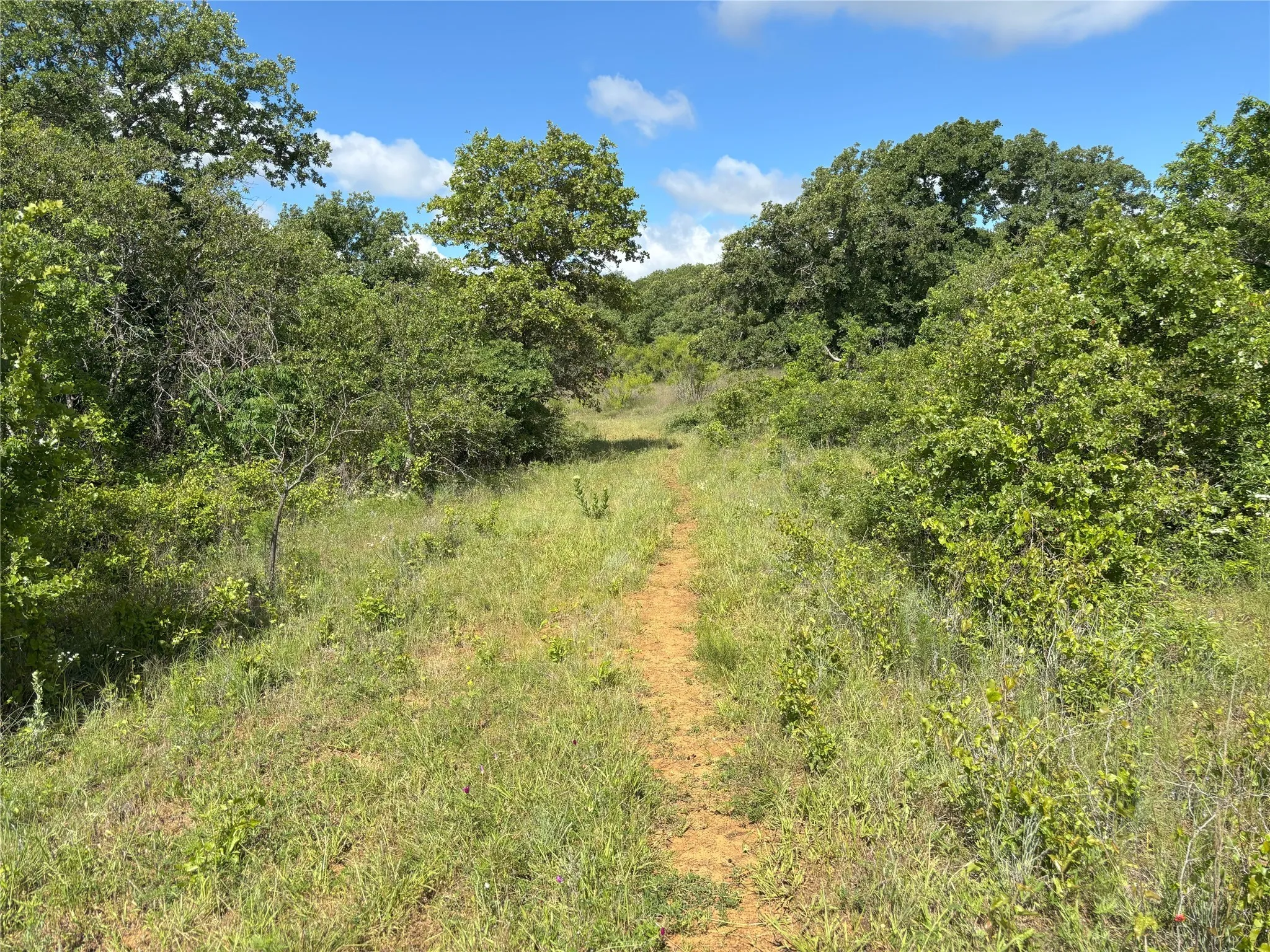 View of nature