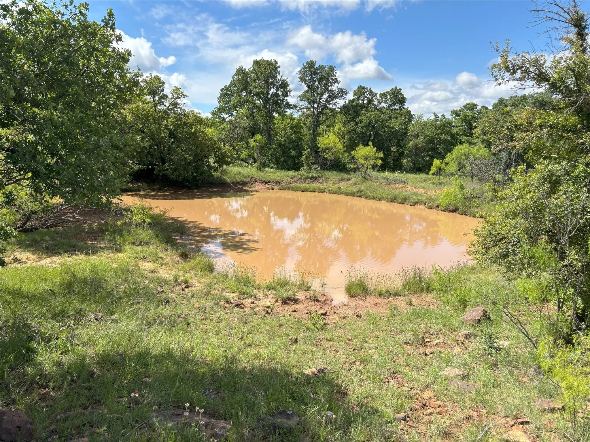 View of tree filled area with a water view