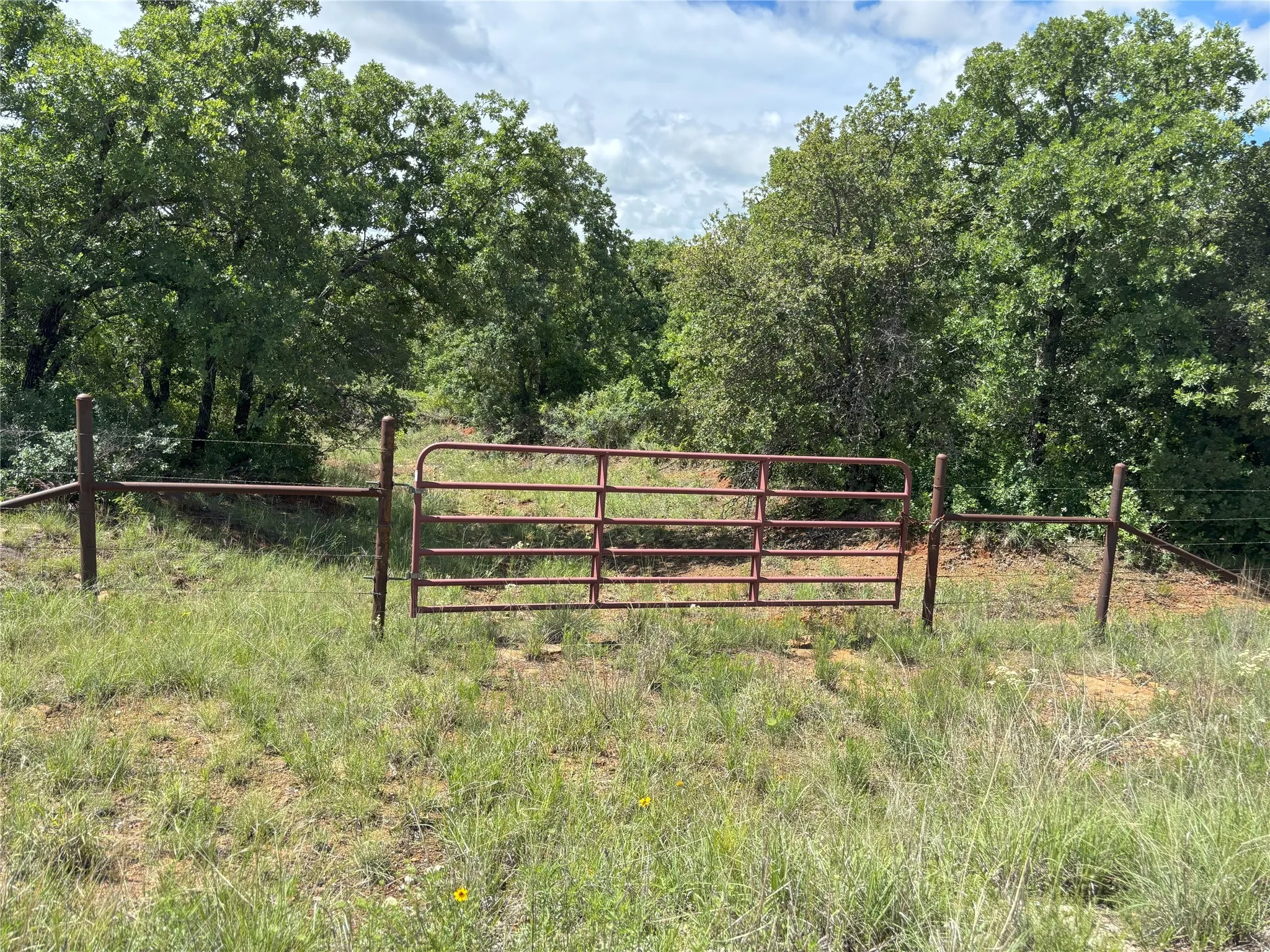 View of gate