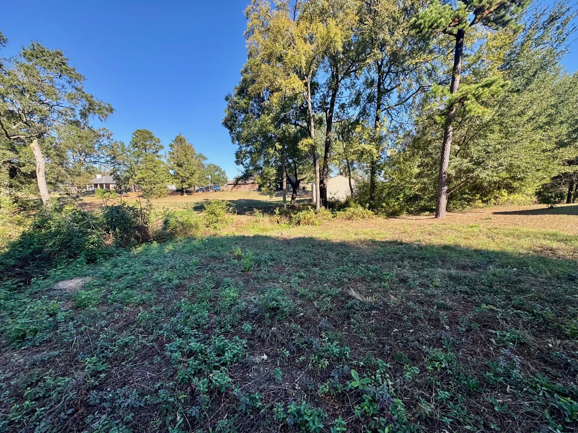 Unimproved Land For Sale in Camp County , Lot 18 County Road 1216, Pittsburg, Texas 75686, 0, 0, Garage spaces, 0 Sqft, built in 0, mls#21120583, Real Estate Agent in Pittsburg, Homes For Sale in Camp county, Homes For Sale in Pittsburg, Realtor in Pittsburg Texas, Real Estate Brokerage Independent Realty Texas, Luminita Cordes Realtor