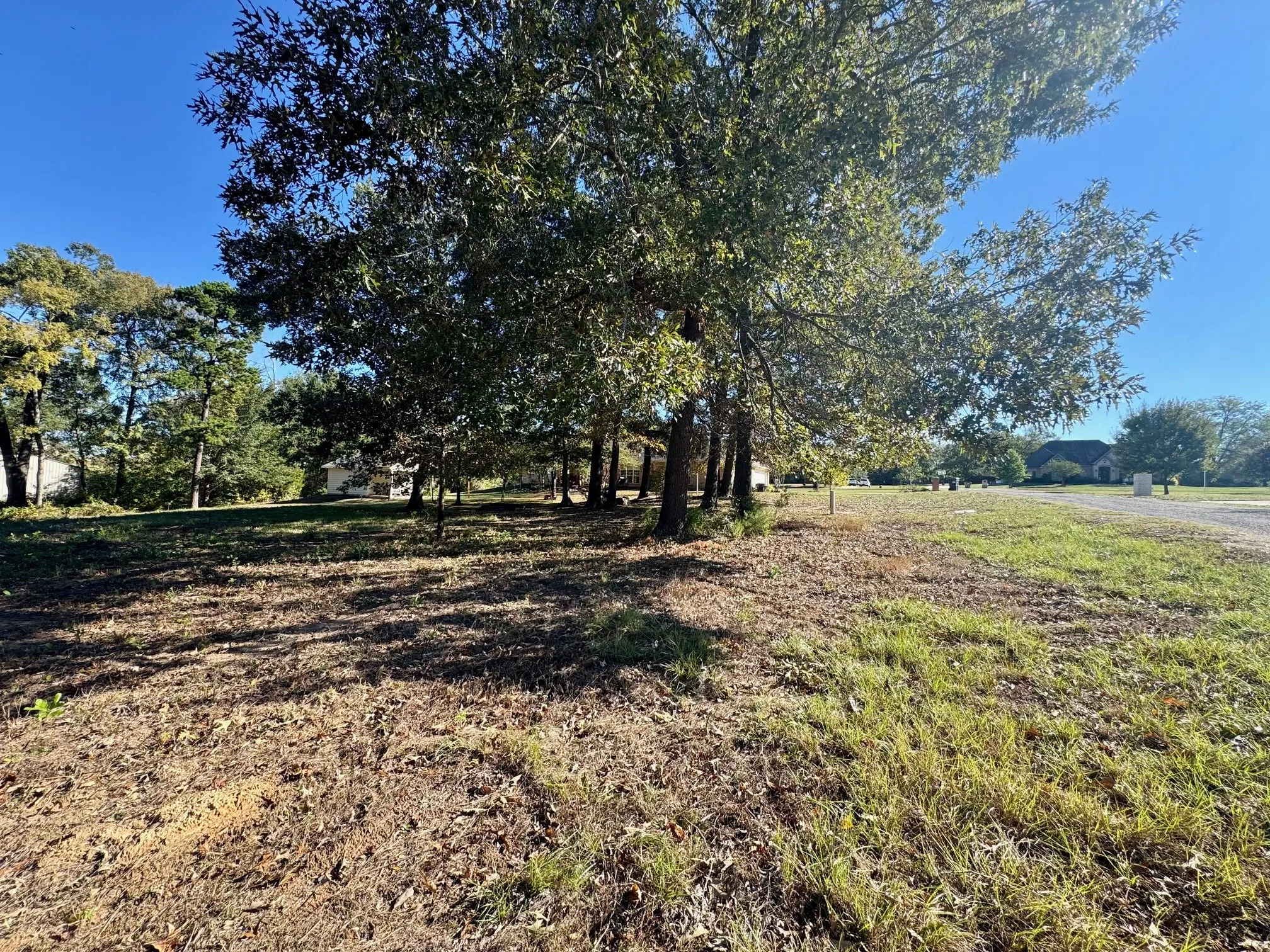 Unimproved Land For Sale in Camp County , Lot 18 County Road 1216, Pittsburg, Texas 75686, 0, 0, Garage spaces, 0 Sqft, built in 0, mls#21120583, Real Estate Agent in Pittsburg, Homes For Sale in Camp county, Homes For Sale in Pittsburg, Realtor in Pittsburg Texas, Real Estate Brokerage Independent Realty Texas, Luminita Cordes Realtor