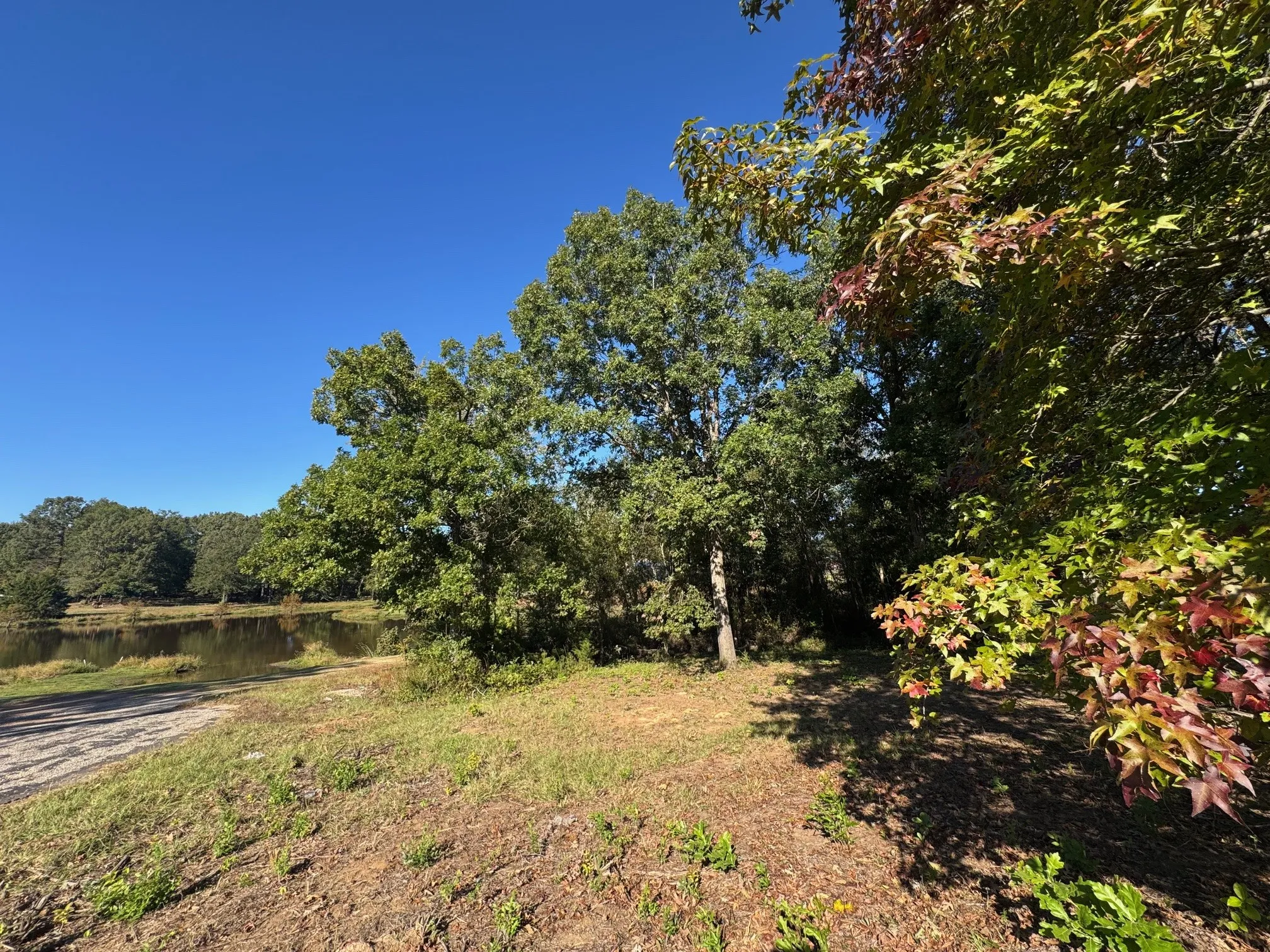 Unimproved Land For Sale in Camp County , Lot 18 County Road 1216, Pittsburg, Texas 75686, 0, 0, Garage spaces, 0 Sqft, built in 0, mls#21120583, Real Estate Agent in Pittsburg, Homes For Sale in Camp county, Homes For Sale in Pittsburg, Realtor in Pittsburg Texas, Real Estate Brokerage Independent Realty Texas, Luminita Cordes Realtor