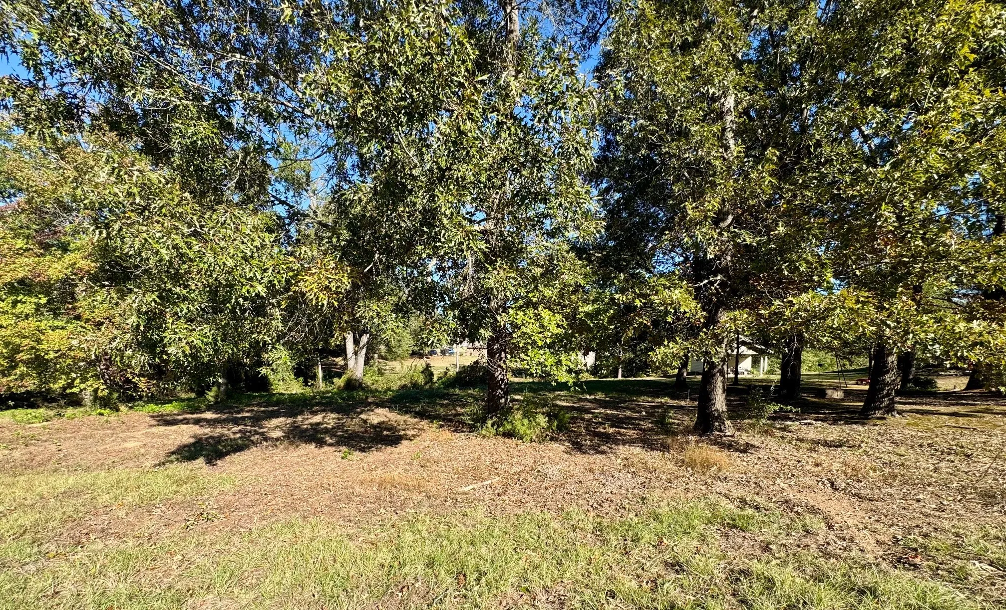Unimproved Land For Sale in Camp County , Lot 18 County Road 1216, Pittsburg, Texas 75686, 0, 0, Garage spaces, 0 Sqft, built in 0, mls#21120583, Real Estate Agent in Pittsburg, Homes For Sale in Camp county, Homes For Sale in Pittsburg, Realtor in Pittsburg Texas, Real Estate Brokerage Independent Realty Texas, Luminita Cordes Realtor