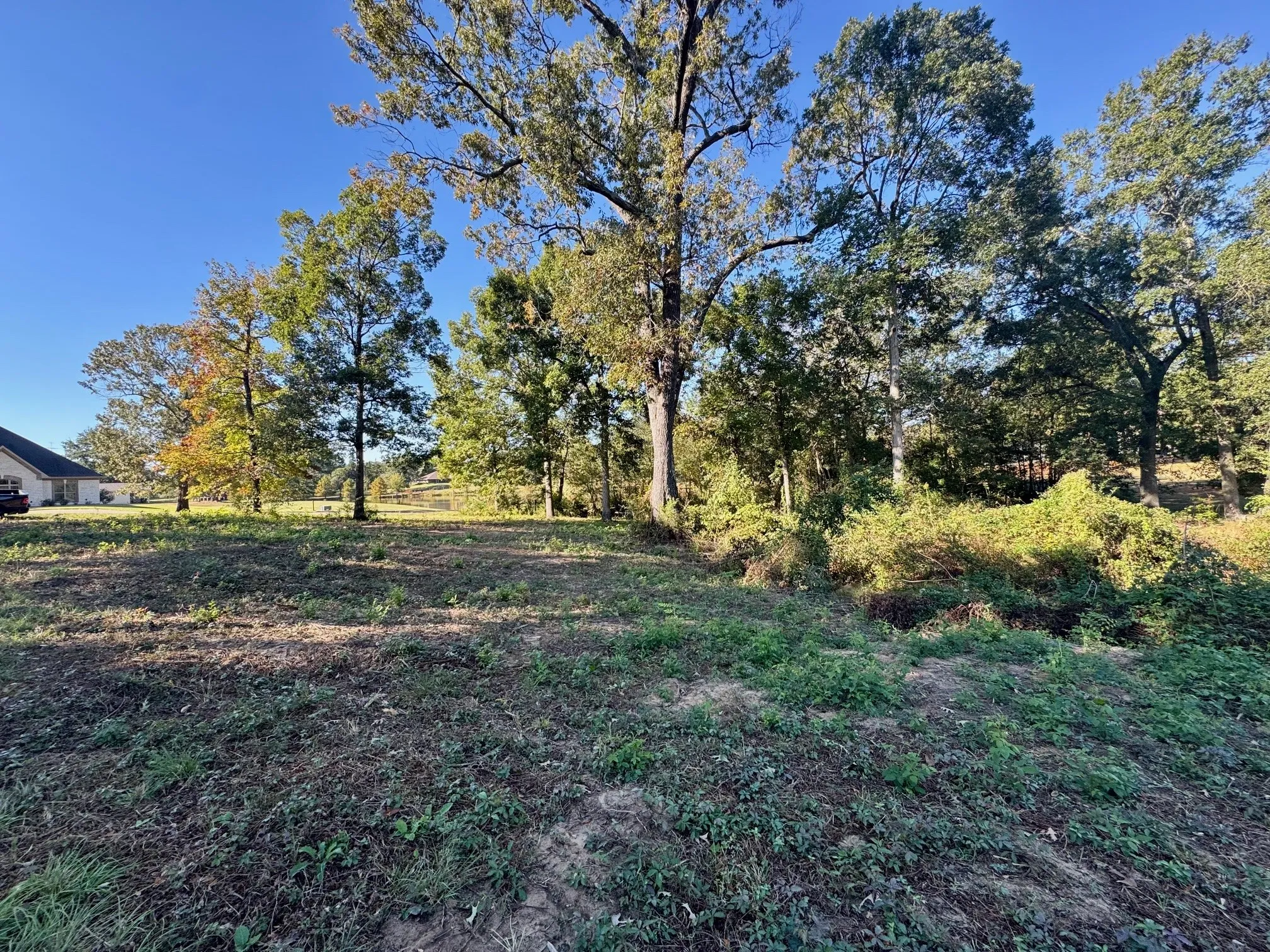 Unimproved Land For Sale in Camp County , Lot 18 County Road 1216, Pittsburg, Texas 75686, 0, 0, Garage spaces, 0 Sqft, built in 0, mls#21120583, Real Estate Agent in Pittsburg, Homes For Sale in Camp county, Homes For Sale in Pittsburg, Realtor in Pittsburg Texas, Real Estate Brokerage Independent Realty Texas, Luminita Cordes Realtor
