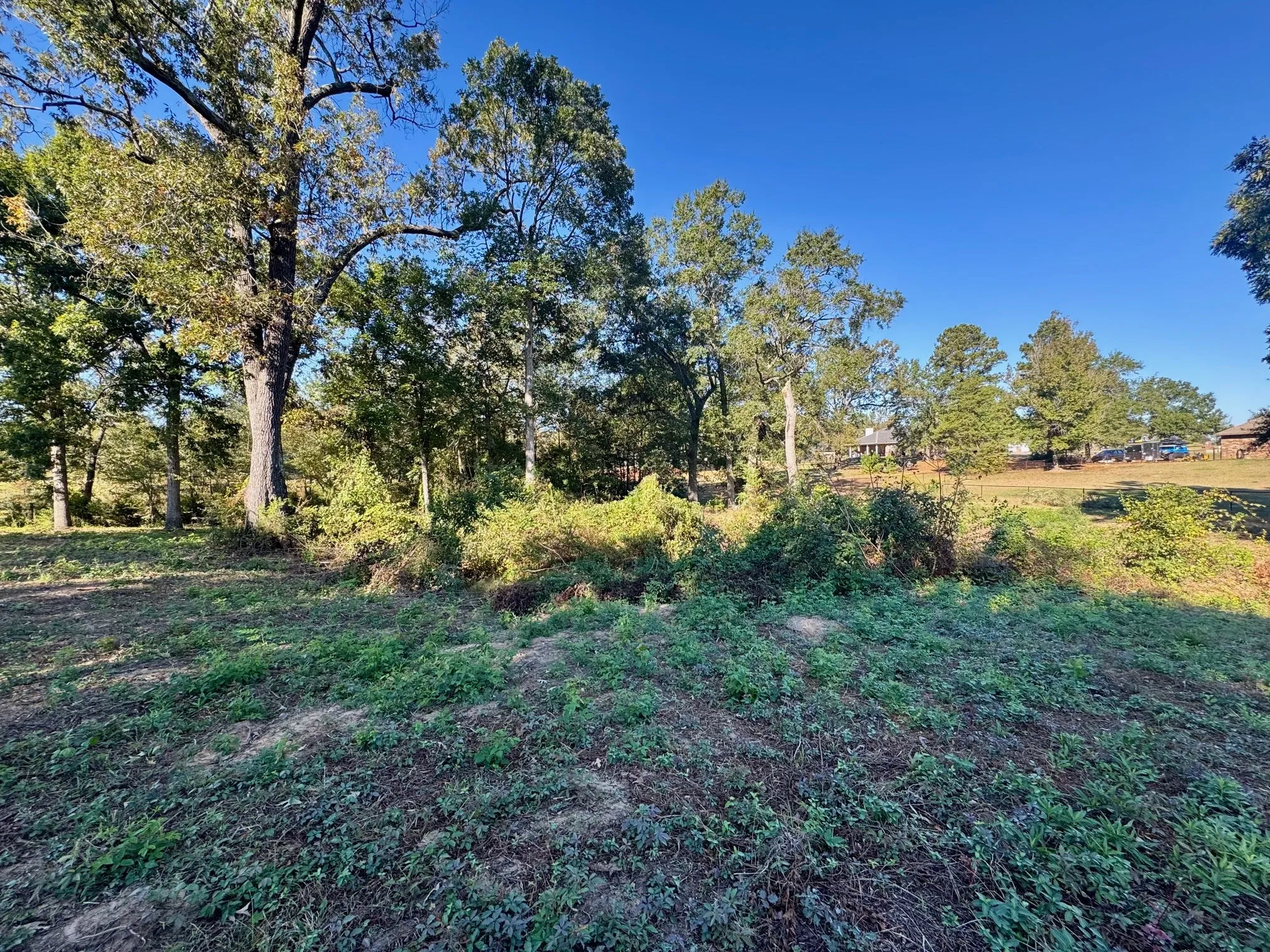 Unimproved Land For Sale in Camp County , Lot 18 County Road 1216, Pittsburg, Texas 75686, 0, 0, Garage spaces, 0 Sqft, built in 0, mls#21120583, Real Estate Agent in Pittsburg, Homes For Sale in Camp county, Homes For Sale in Pittsburg, Realtor in Pittsburg Texas, Real Estate Brokerage Independent Realty Texas, Luminita Cordes Realtor