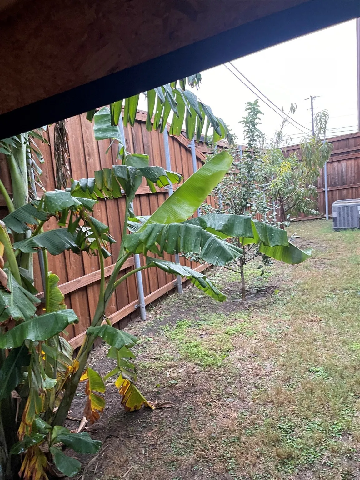 View of fenced backyard