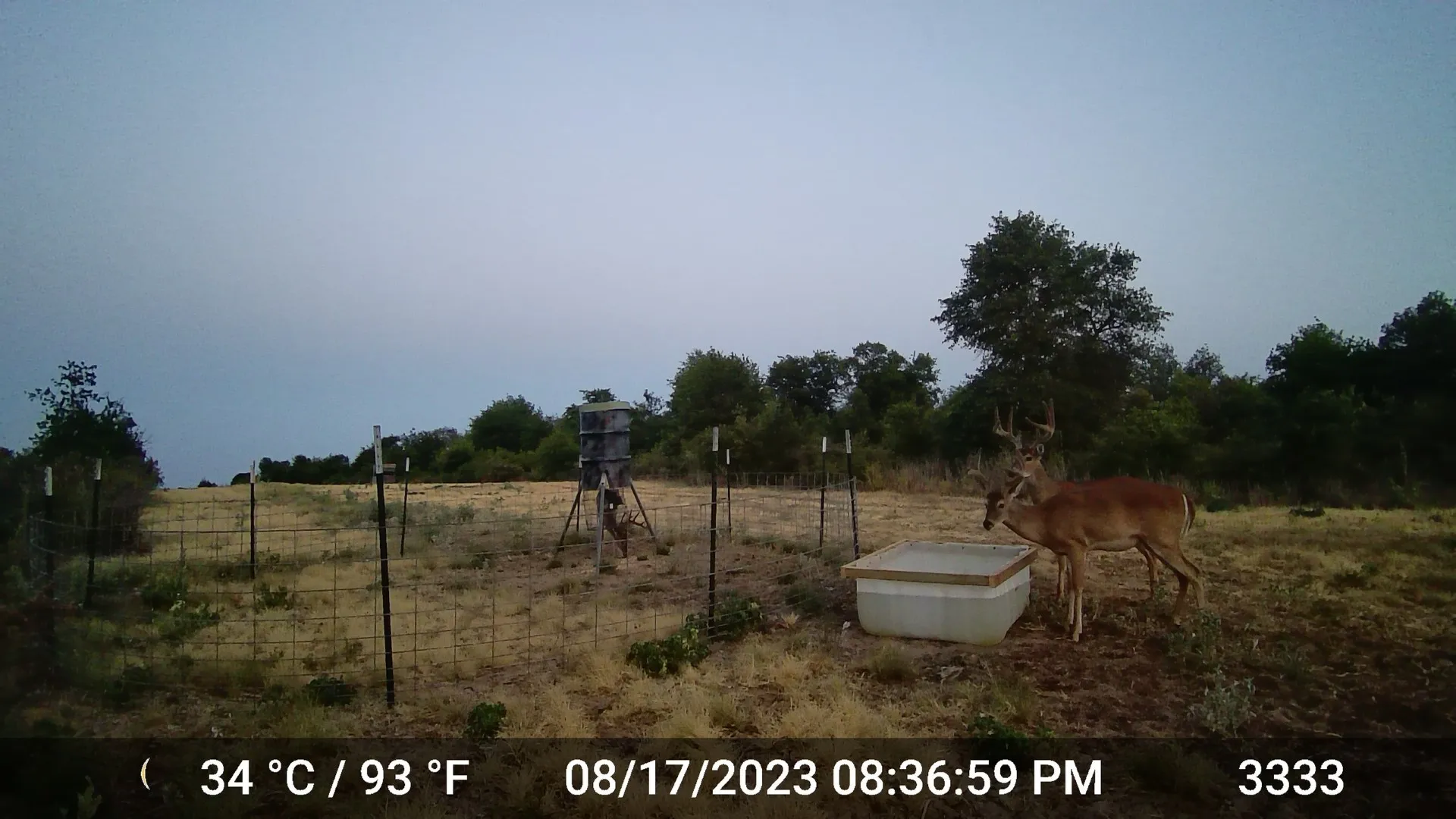 Unimproved Land For Sale in Jones County , 11653 FM 1226 Parcel C, Hawley, Texas 79525, 0, 0, Garage spaces, 0 Sqft, built in 0, Price $160,000, mls#21120725, Real Estate Agent in Hawley, Homes For Sale in Jones county, Homes For Sale in Hawley, Realtor in Hawley Texas, Real Estate Brokerage Independent Realty Texas, Luminita Cordes Realtor