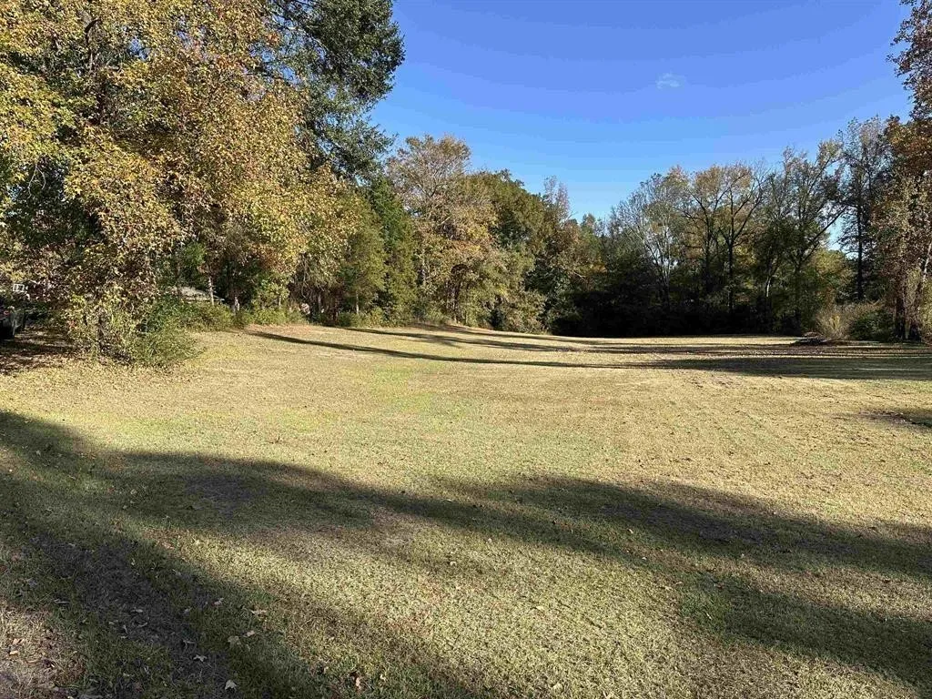 Unimproved Land For Sale in Titus County , TBD N Cecelia, Mt Pleasant, Texas 75455, 0, 0, Garage spaces, 0 Sqft, built in 0, Price $39,900, mls#21111850, Real Estate Agent in Mt Pleasant, Homes For Sale in Titus county, Homes For Sale in Mt Pleasant, Realtor in Mt Pleasant Texas, Real Estate Brokerage Independent Realty Texas, Luminita Cordes Realtor