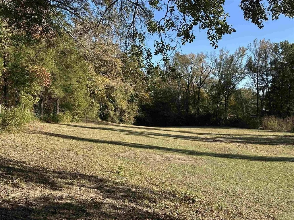 View of grassy yard