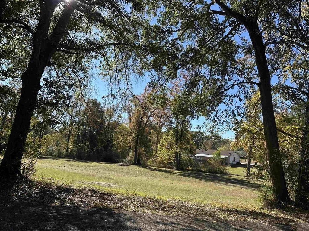 Unimproved Land For Sale in Titus County , TBD N Cecelia, Mt Pleasant, Texas 75455, 0, 0, Garage spaces, 0 Sqft, built in 0, Price $39,900, mls#21111850, Real Estate Agent in Mt Pleasant, Homes For Sale in Titus county, Homes For Sale in Mt Pleasant, Realtor in Mt Pleasant Texas, Real Estate Brokerage Independent Realty Texas, Luminita Cordes Realtor