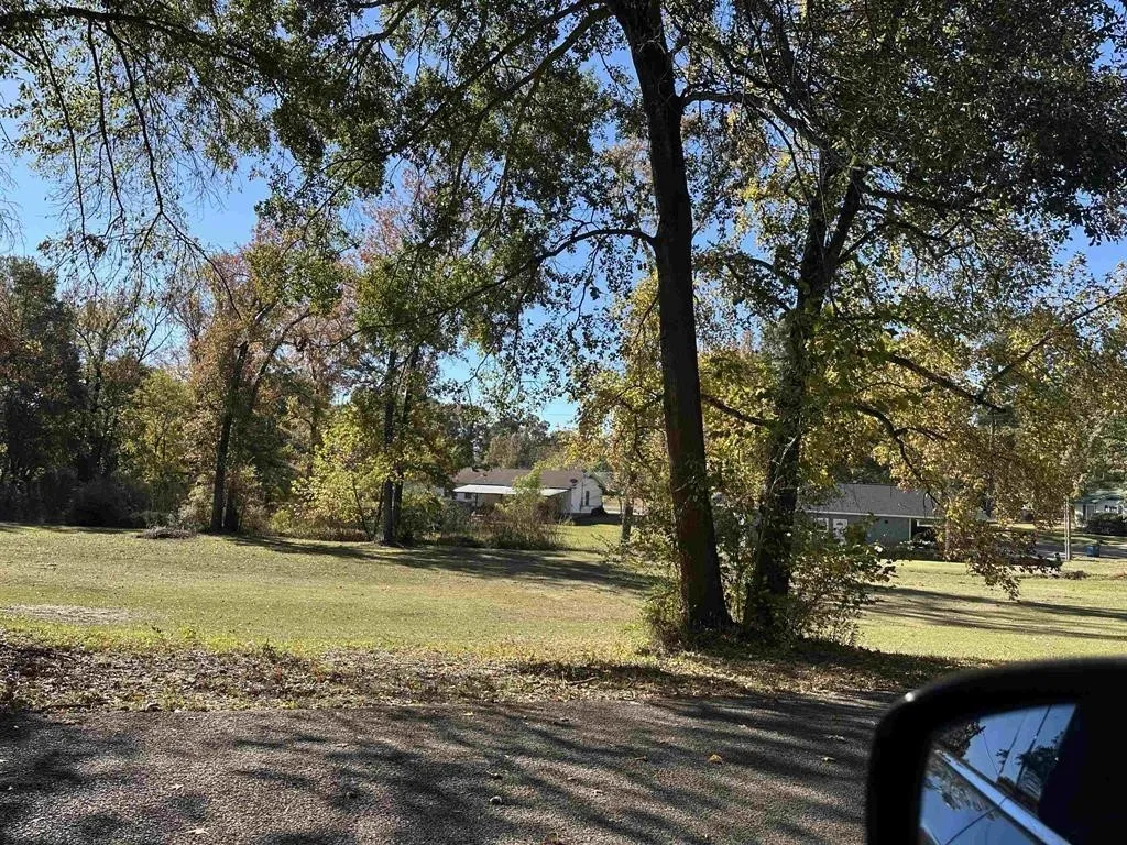 Unimproved Land For Sale in Titus County , TBD N Cecelia, Mt Pleasant, Texas 75455, 0, 0, Garage spaces, 0 Sqft, built in 0, Price $39,900, mls#21111850, Real Estate Agent in Mt Pleasant, Homes For Sale in Titus county, Homes For Sale in Mt Pleasant, Realtor in Mt Pleasant Texas, Real Estate Brokerage Independent Realty Texas, Luminita Cordes Realtor