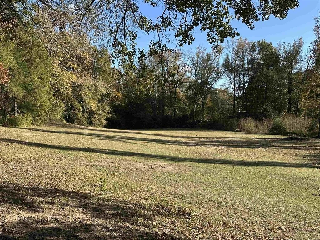 View of green lawn