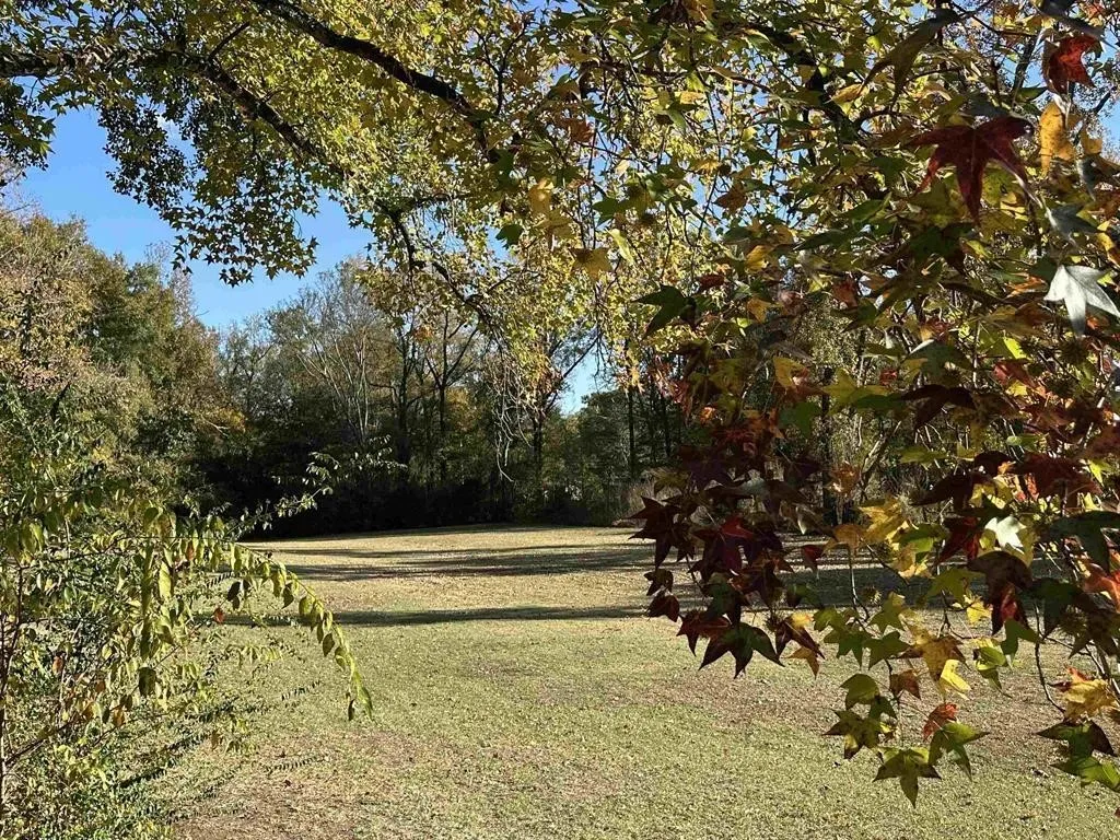 View of green lawn