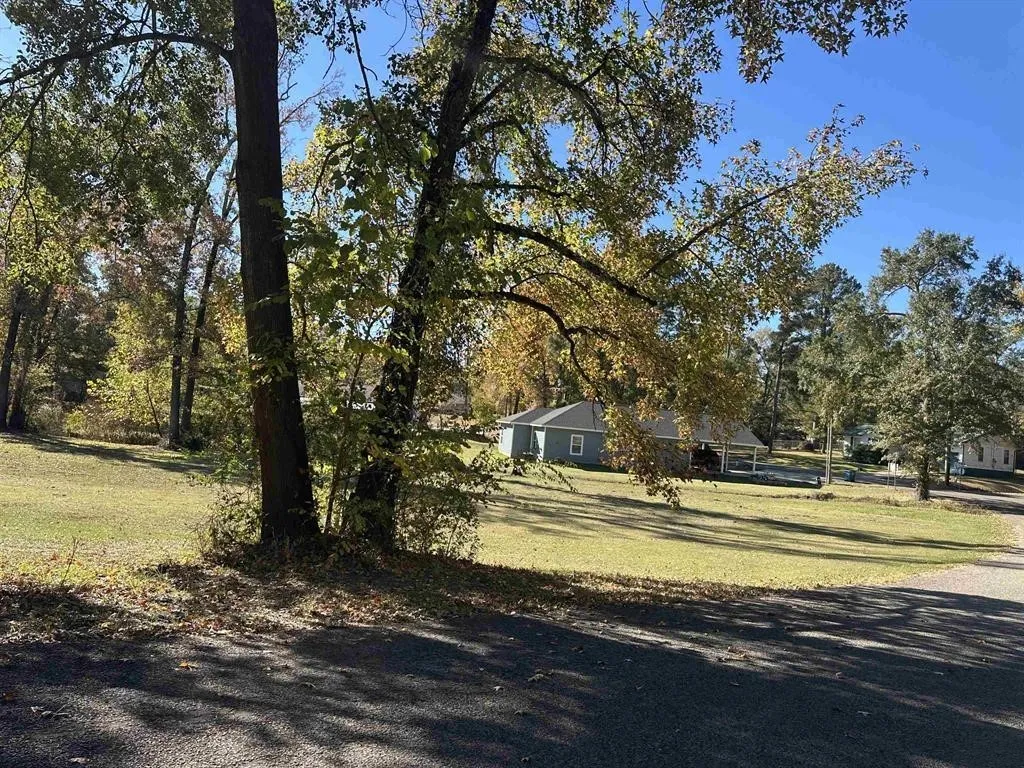 View of front of property featuring a front lawn