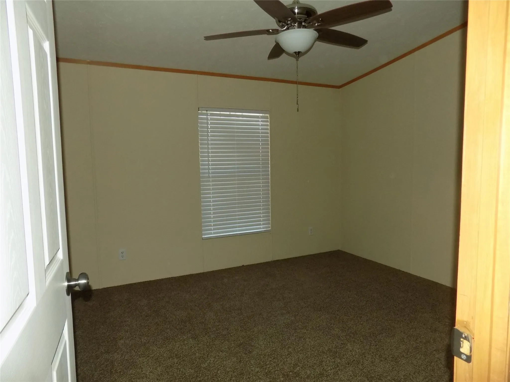 Carpeted spare room with crown molding and ceiling fan