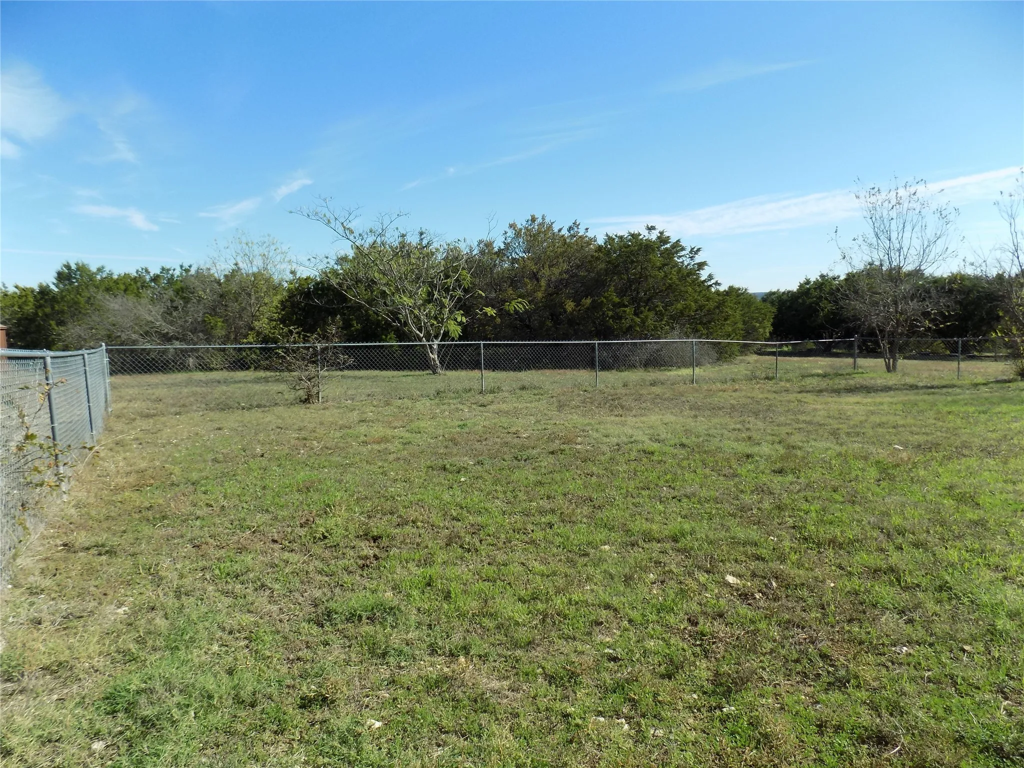 View of yard; can't say enough about this beautiful yard.
