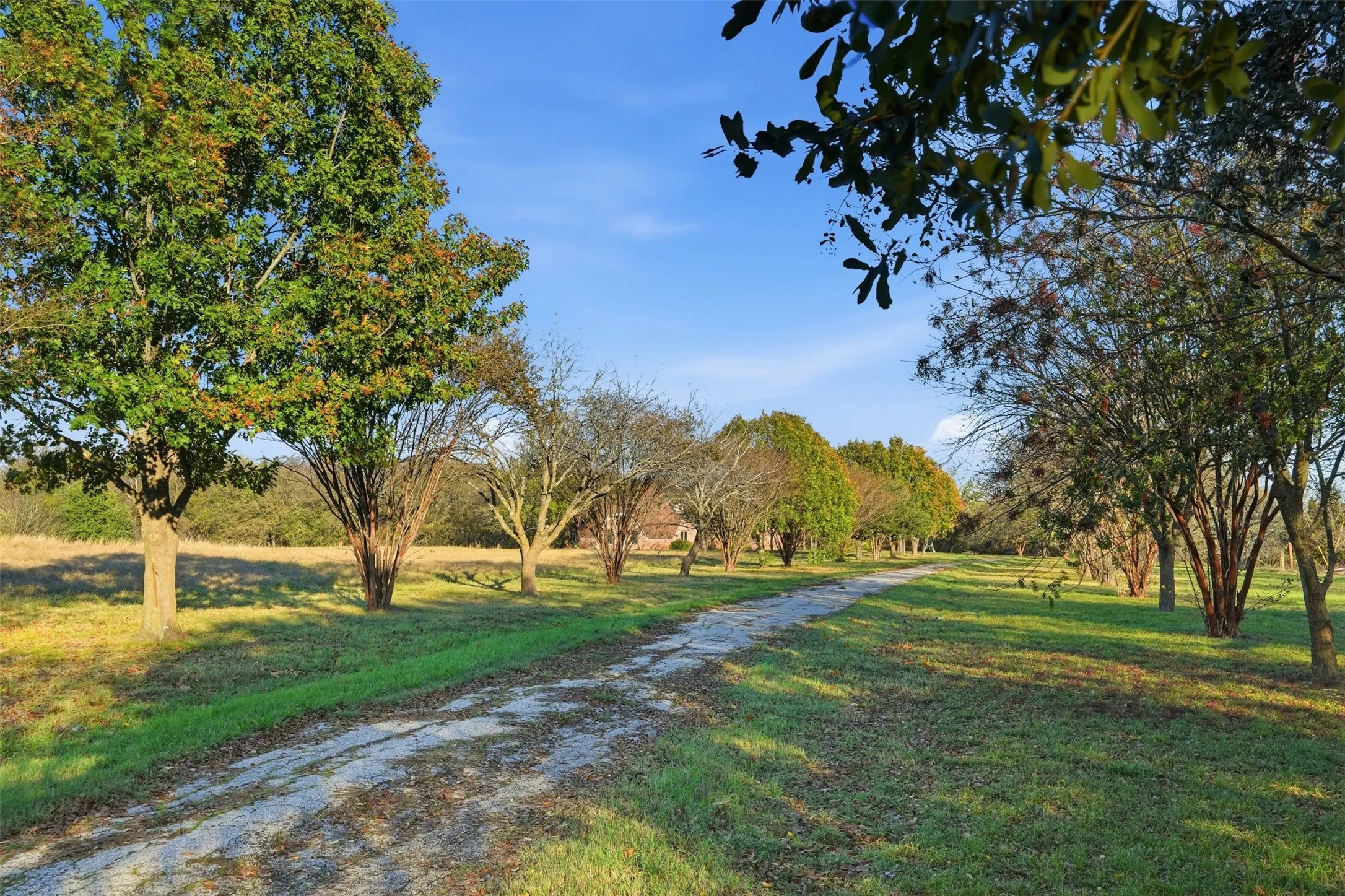 Lovely driveway leading to dome home