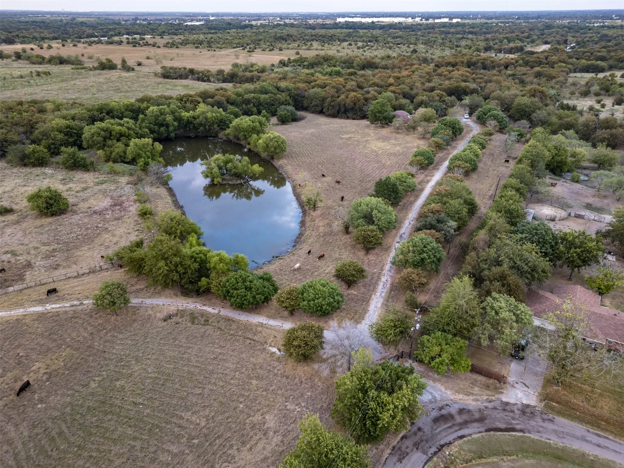 Pond view