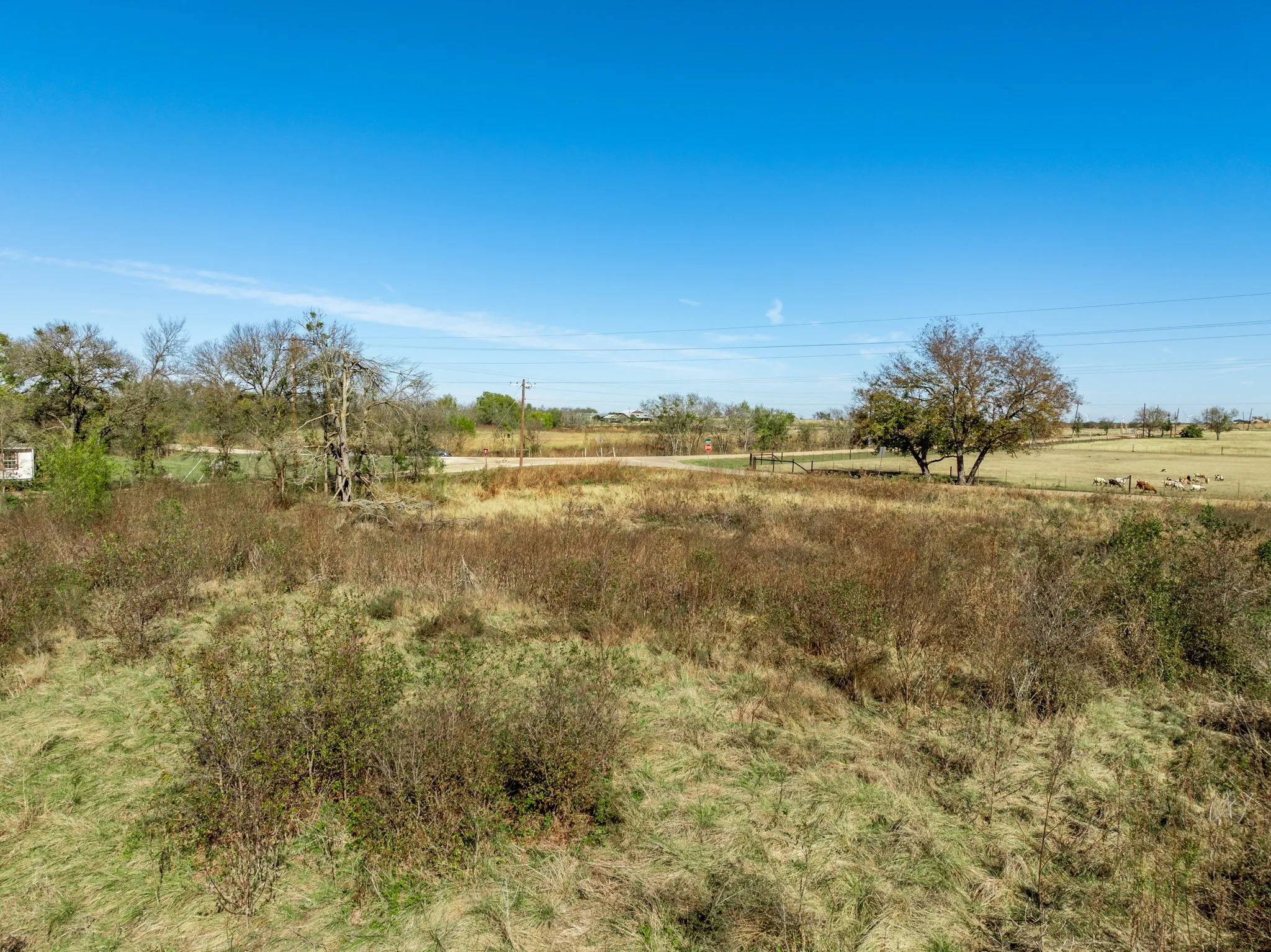 View of local wilderness with rural landscape
