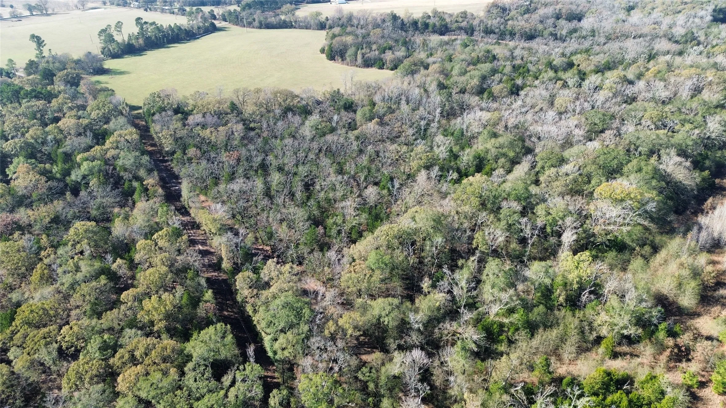Aerial view of property's location with a forest