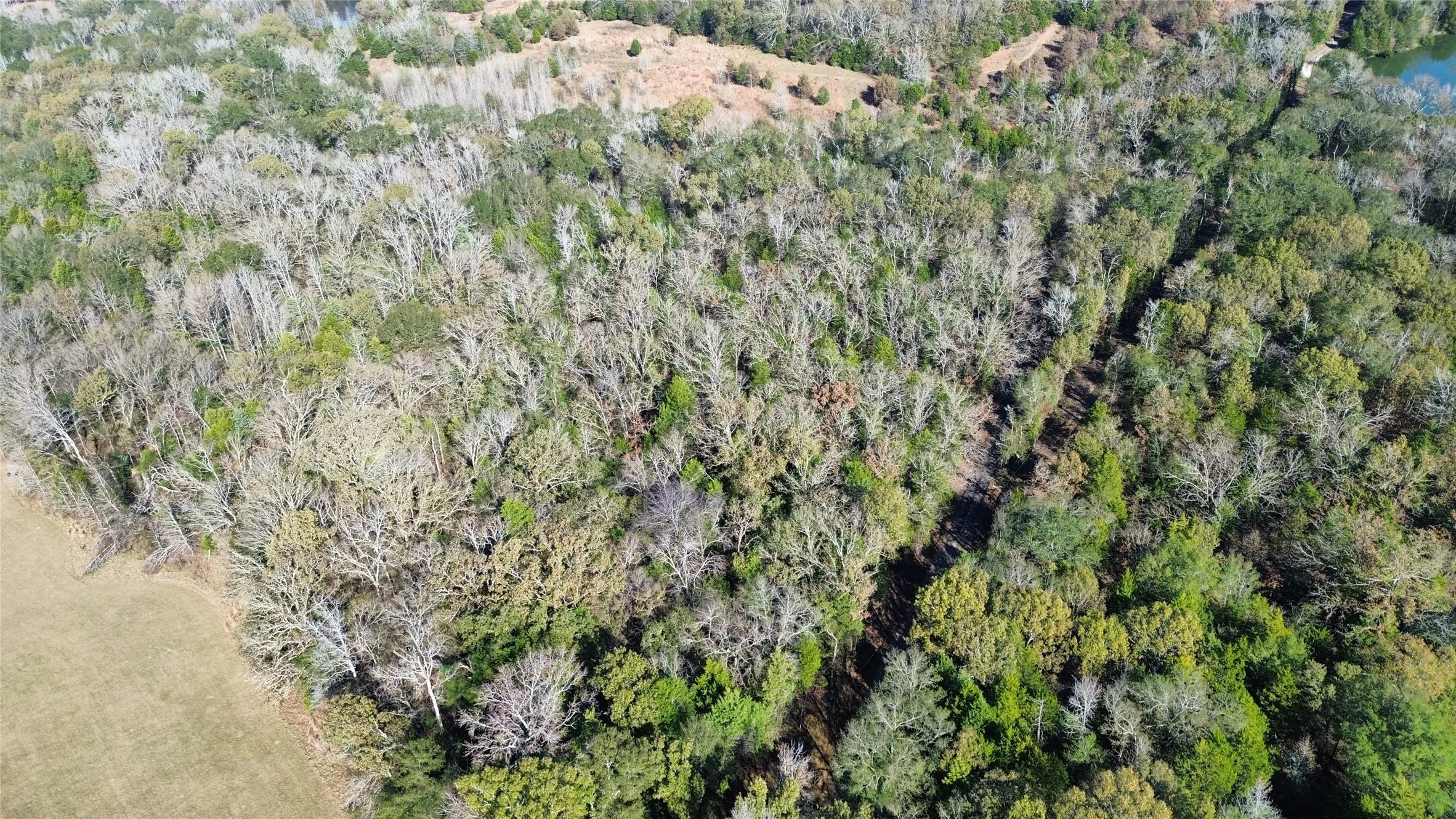 Aerial view of property and surrounding area