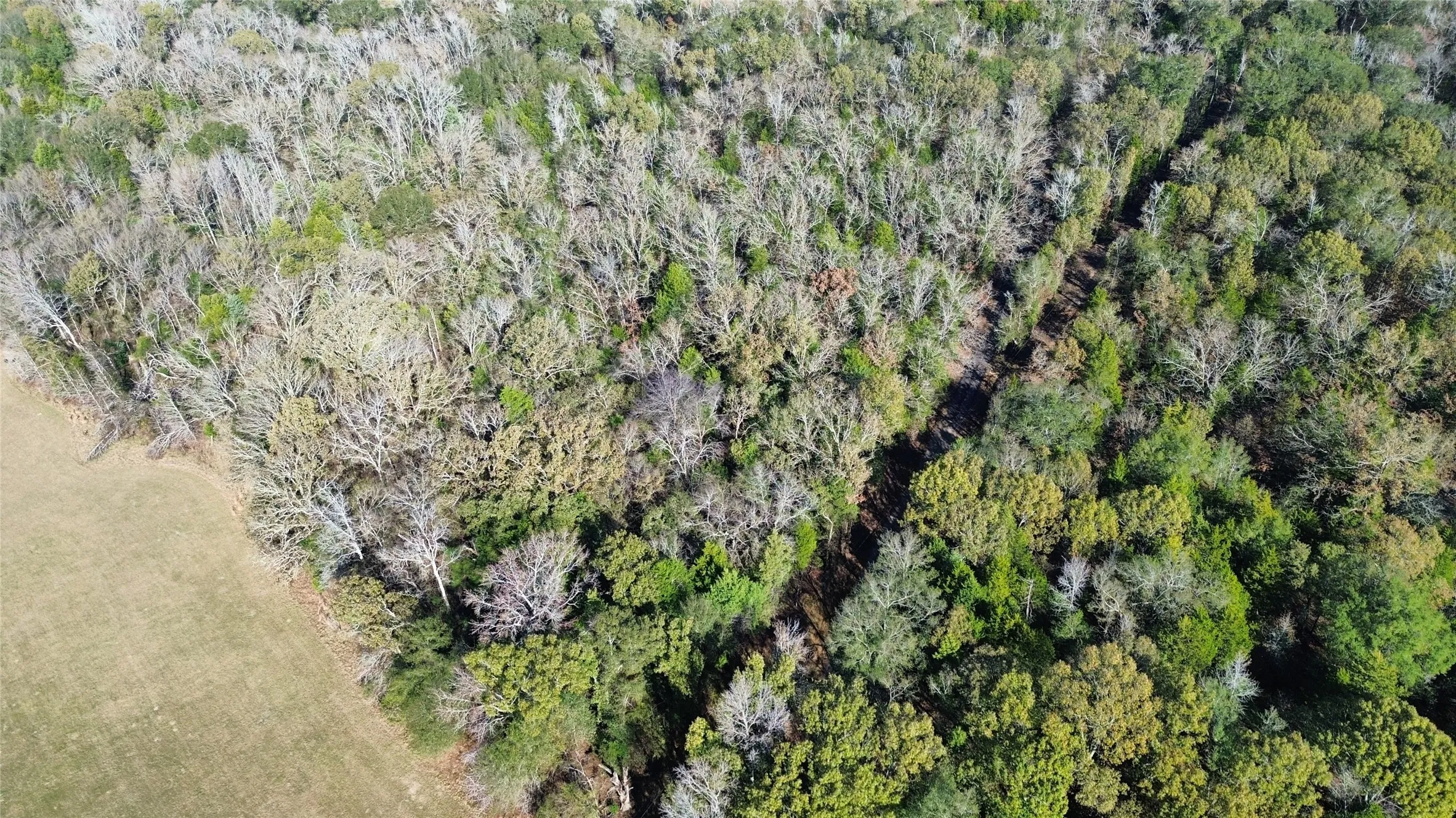 Aerial overview of property's location with a forest
