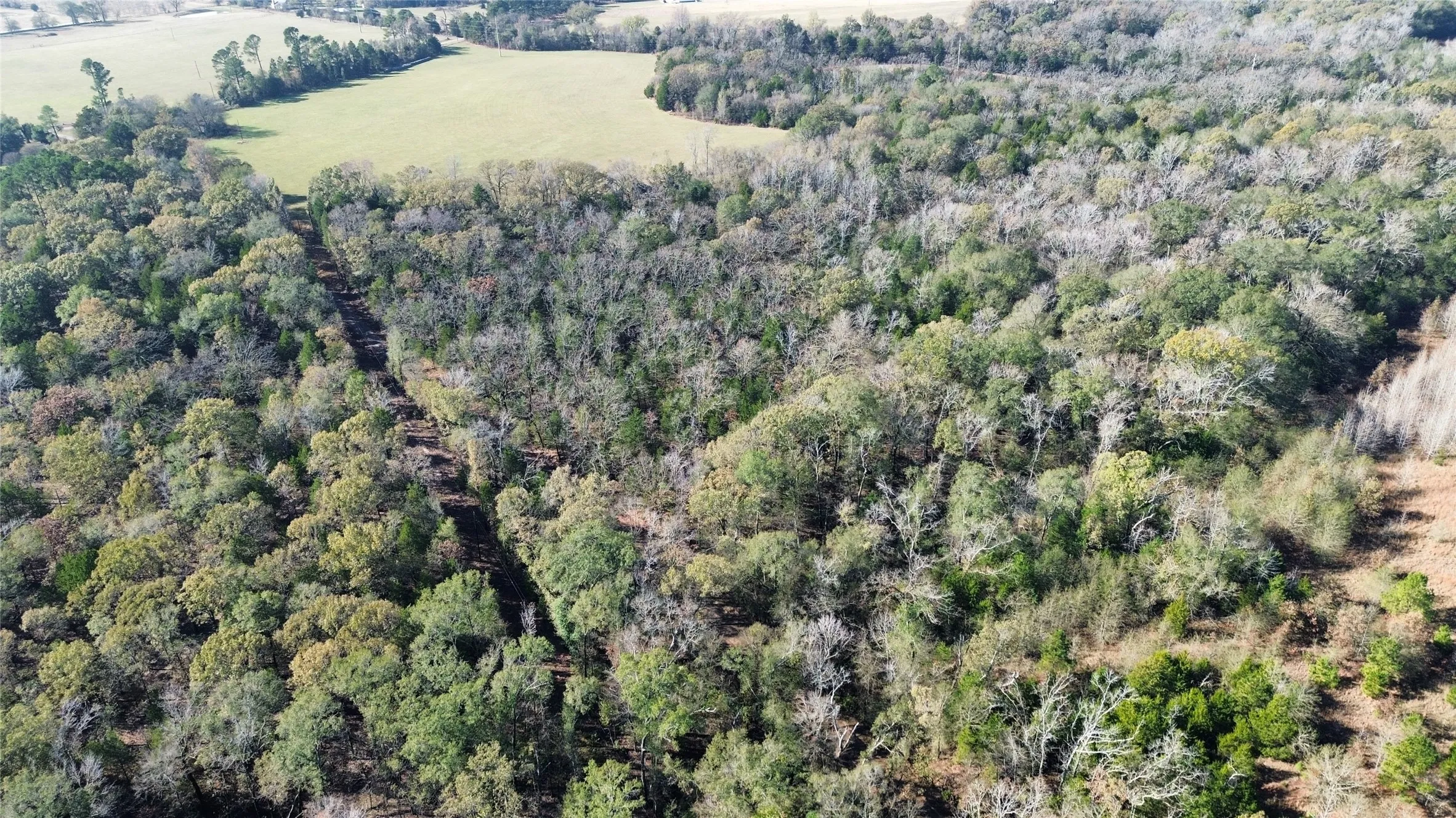 Aerial view of property's location with a forest