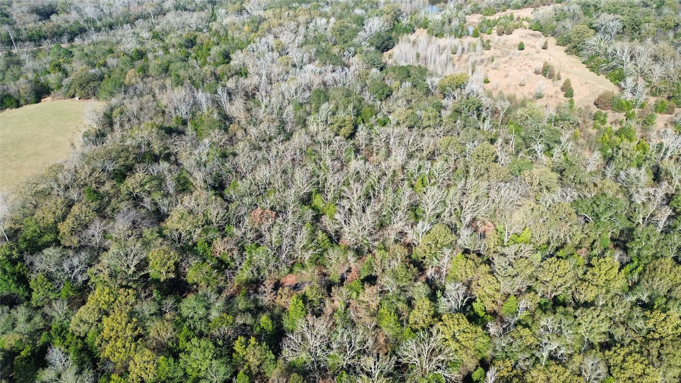 Aerial view of property and surrounding area with a heavily wooded area