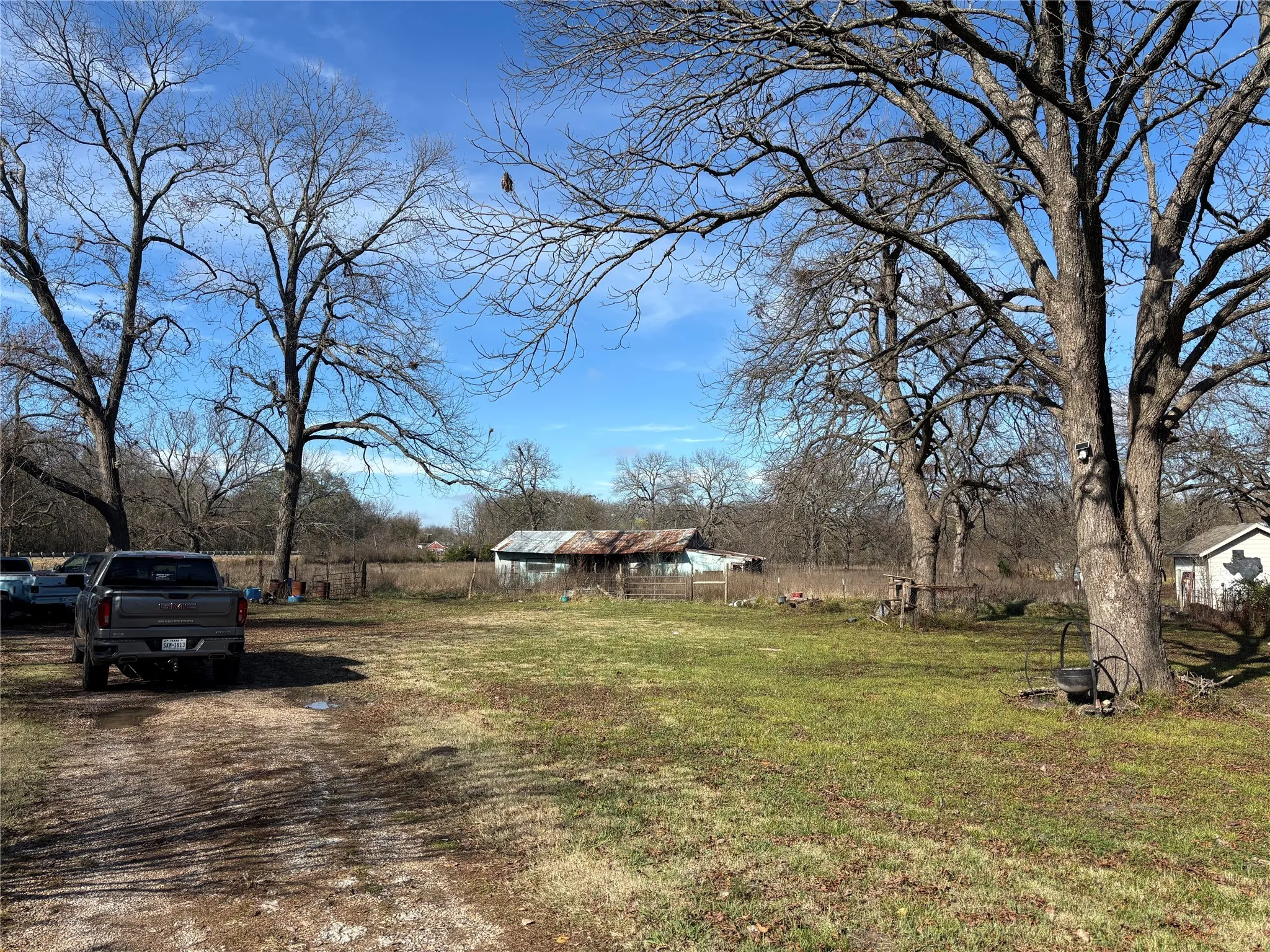 View of grassy yard