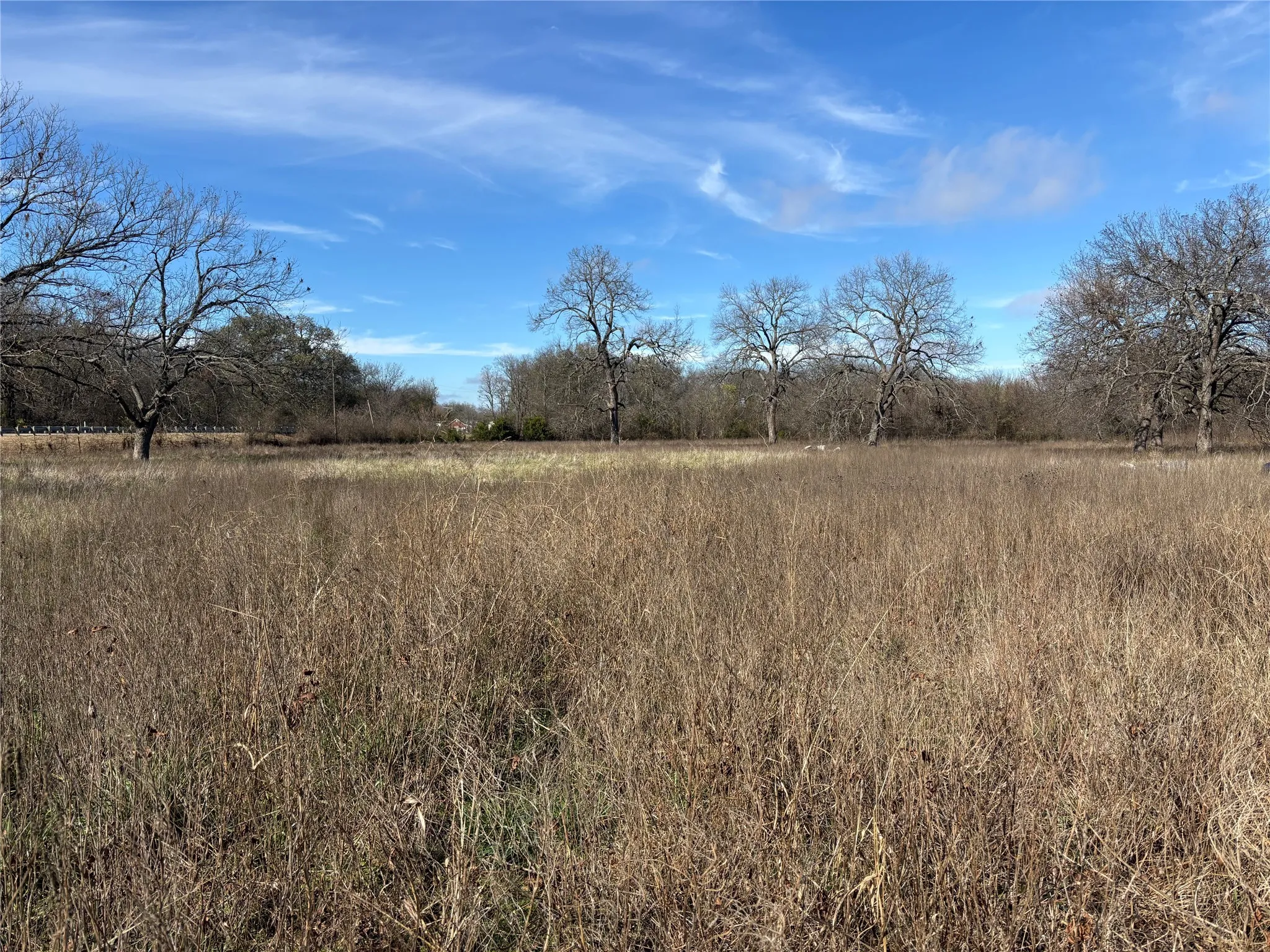 View of local wilderness with rural landscape