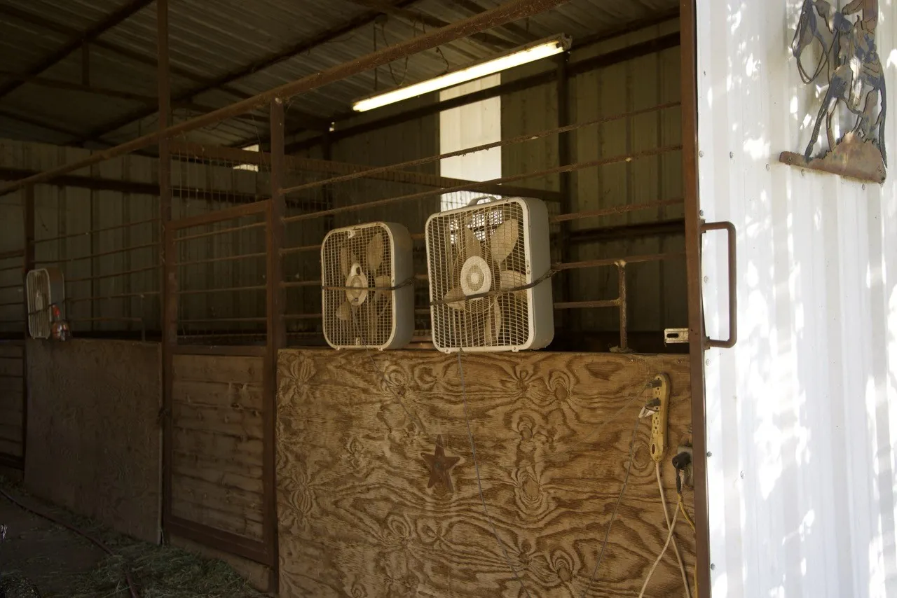 View of stable