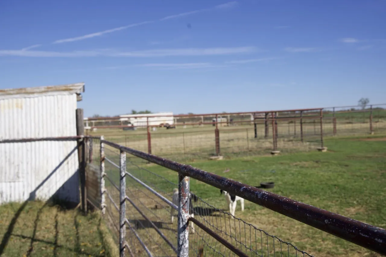 View of yard with a view of rural / pastoral area