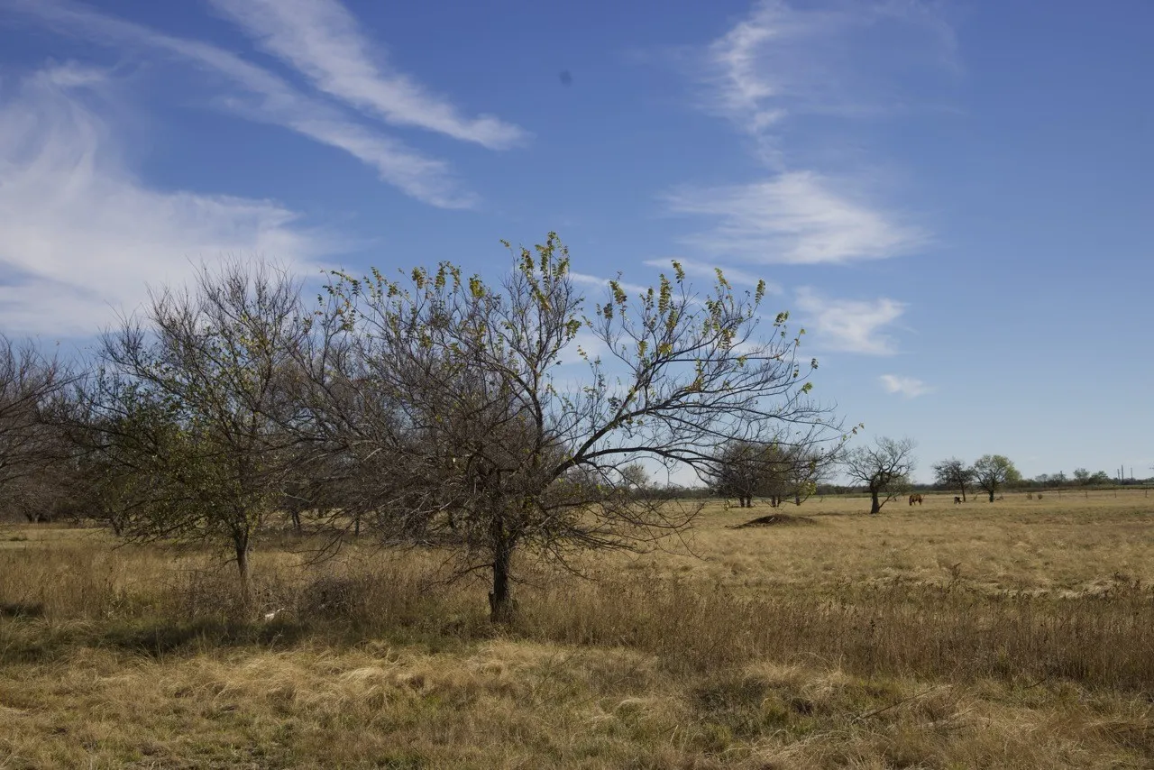 View of local wilderness with rural landscape