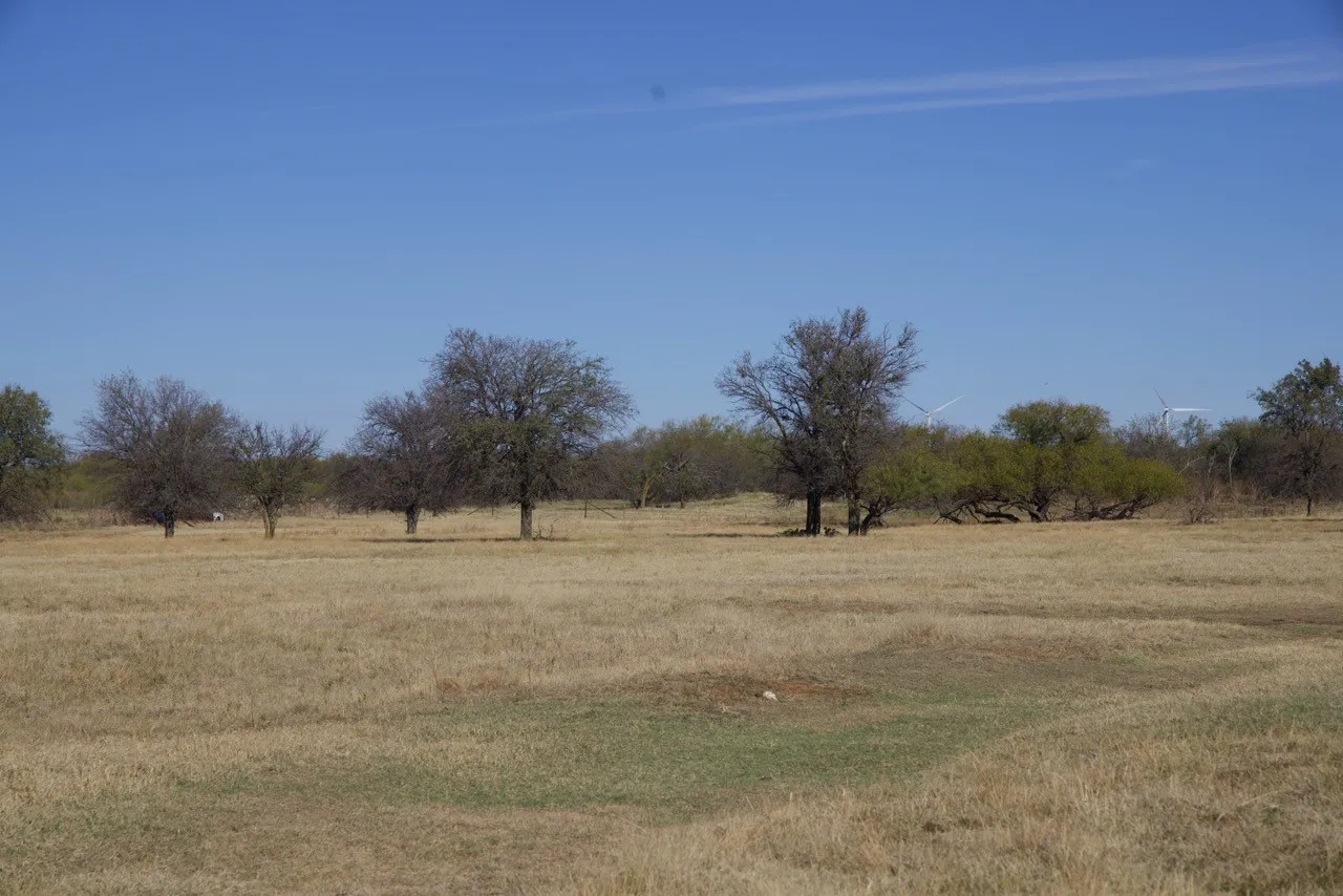 View of yard with a view of rural / pastoral area