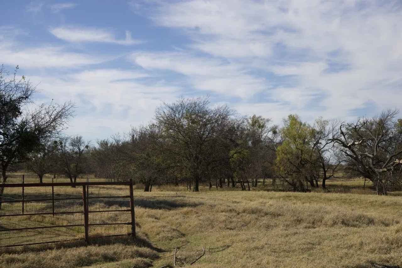 View of yard featuring a view of rural / pastoral area