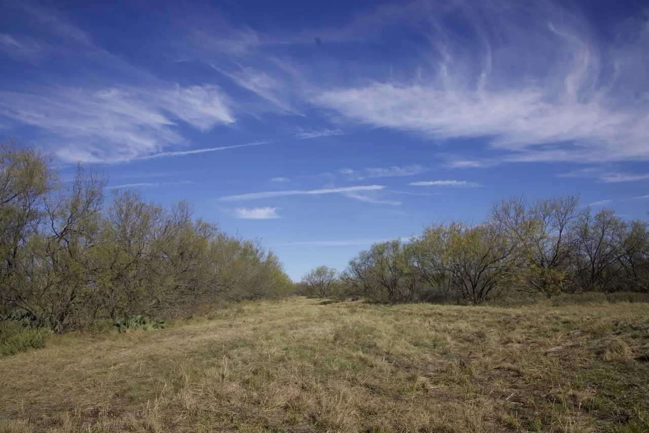 View of local wilderness with rural landscape
