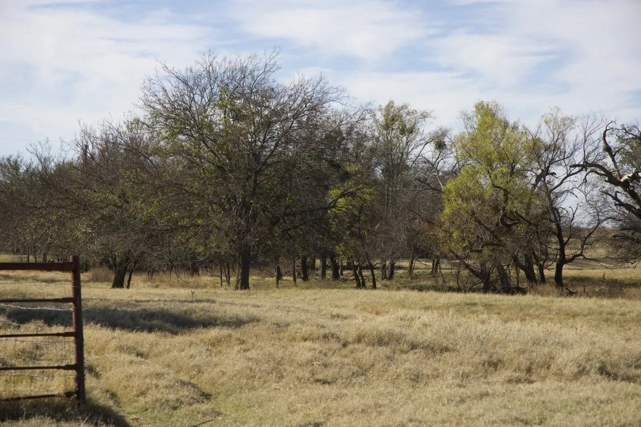 View of local wilderness with rural landscape