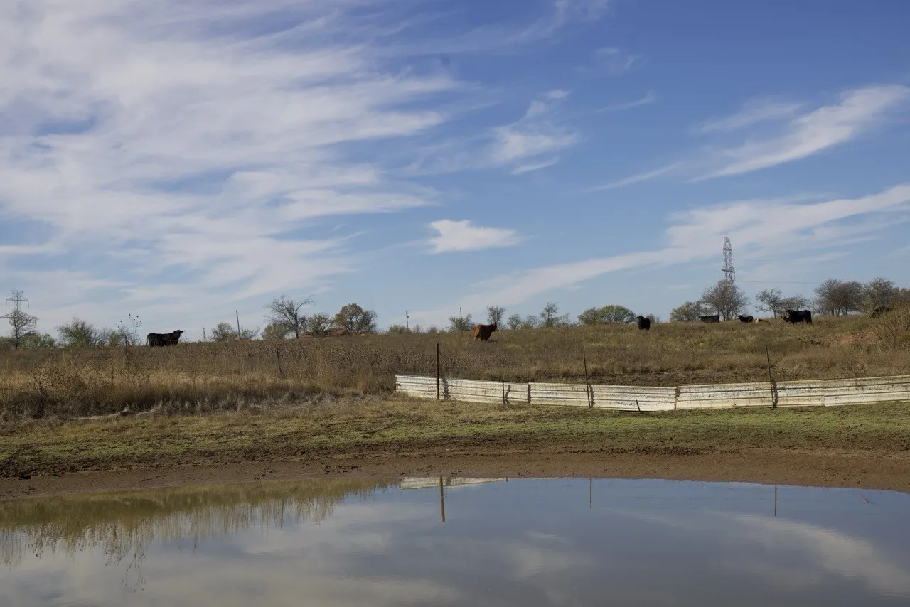 Ranch For Sale in Young County , 6172 FM 1769, Graham, Texas 76450, 0, 0, Garage spaces, 0 Sqft, built in 0, mls#21121599, Real Estate Agent in Graham, Homes For Sale in Young county, Homes For Sale in Graham, Realtor in Graham Texas, Real Estate Brokerage Independent Realty Texas, Luminita Cordes Realtor