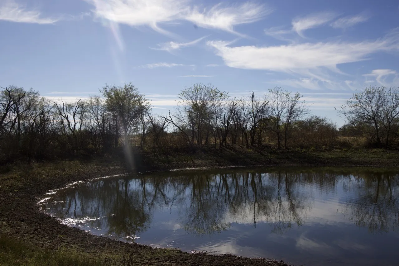 Water view