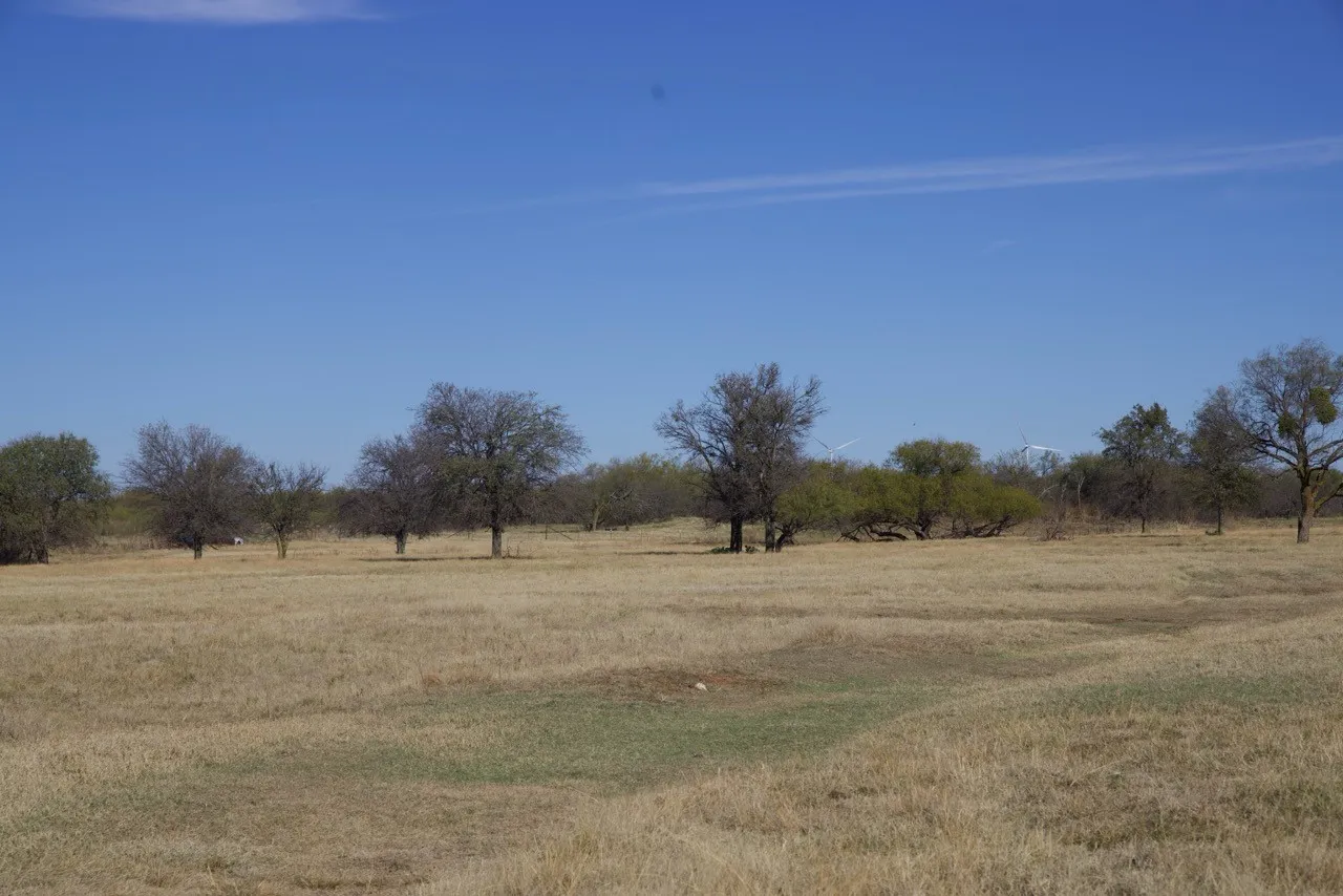 View of yard with a view of rural / pastoral area