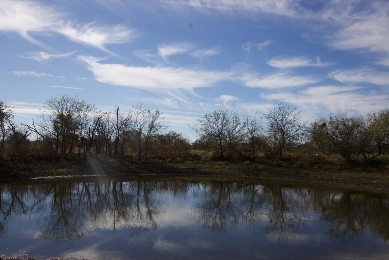 Water view