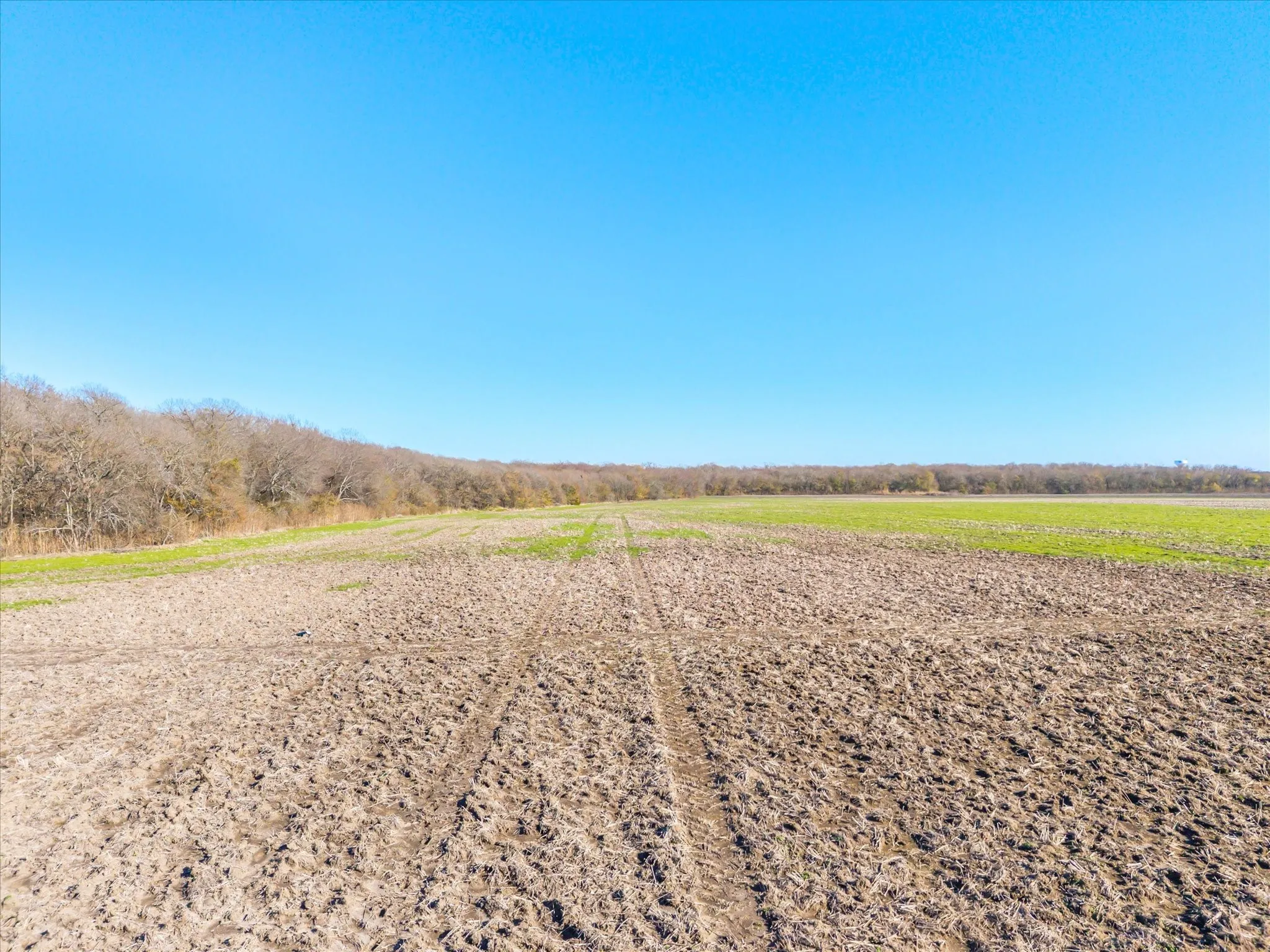Unimproved Land For Sale in Collin County , 000 County Road 677, Royse City, Texas 75189, 0, 0, Garage spaces, 0 Sqft, built in 0, mls#21120878, Real Estate Agent in Royse City, Homes For Sale in Collin county, Homes For Sale in Royse City, Realtor in Royse City Texas, Real Estate Brokerage Independent Realty Texas, Luminita Cordes Realtor