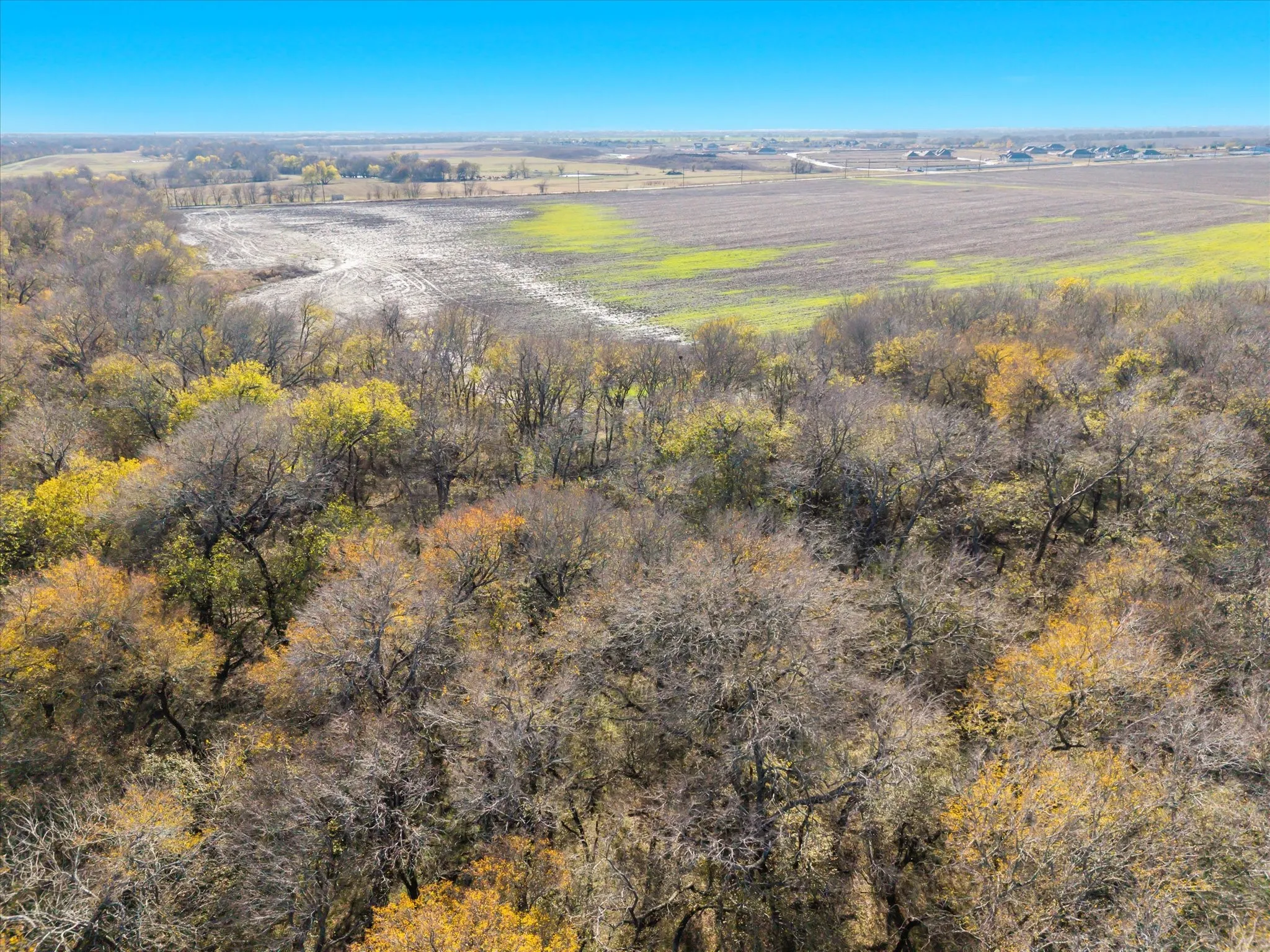 Unimproved Land For Sale in Collin County , 000 County Road 677, Royse City, Texas 75189, 0, 0, Garage spaces, 0 Sqft, built in 0, mls#21120878, Real Estate Agent in Royse City, Homes For Sale in Collin county, Homes For Sale in Royse City, Realtor in Royse City Texas, Real Estate Brokerage Independent Realty Texas, Luminita Cordes Realtor