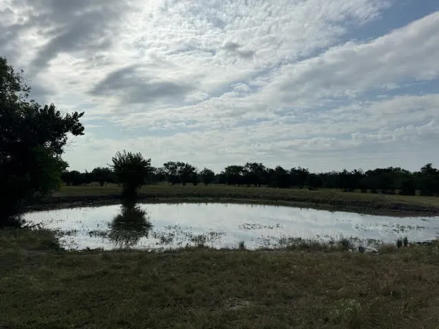 Ranch For Sale in Rains County , RS County Road 1691, Lone Oak, Texas 75453, 0, 0, Garage spaces, 0 Sqft, built in 0, Price $475,000, mls#21121715, Real Estate Agent in Lone Oak, Homes For Sale in Rains county, Homes For Sale in Lone Oak, Realtor in Lone Oak Texas, Real Estate Brokerage Independent Realty Texas, Luminita Cordes Realtor