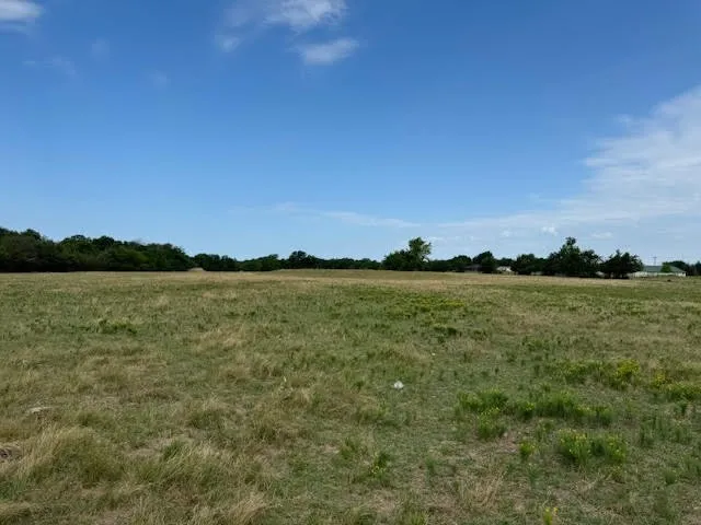 Ranch For Sale in Rains County , RS County Road 1691, Lone Oak, Texas 75453, 0, 0, Garage spaces, 0 Sqft, built in 0, Price $475,000, mls#21121715, Real Estate Agent in Lone Oak, Homes For Sale in Rains county, Homes For Sale in Lone Oak, Realtor in Lone Oak Texas, Real Estate Brokerage Independent Realty Texas, Luminita Cordes Realtor